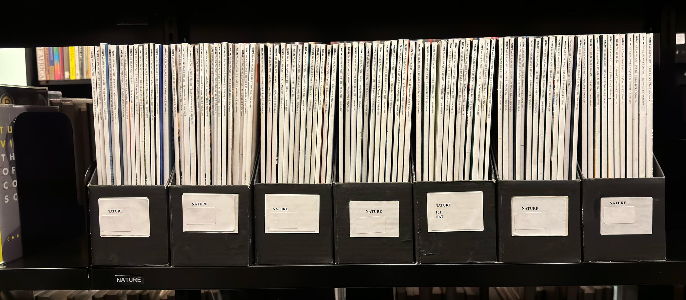 Shelf image
