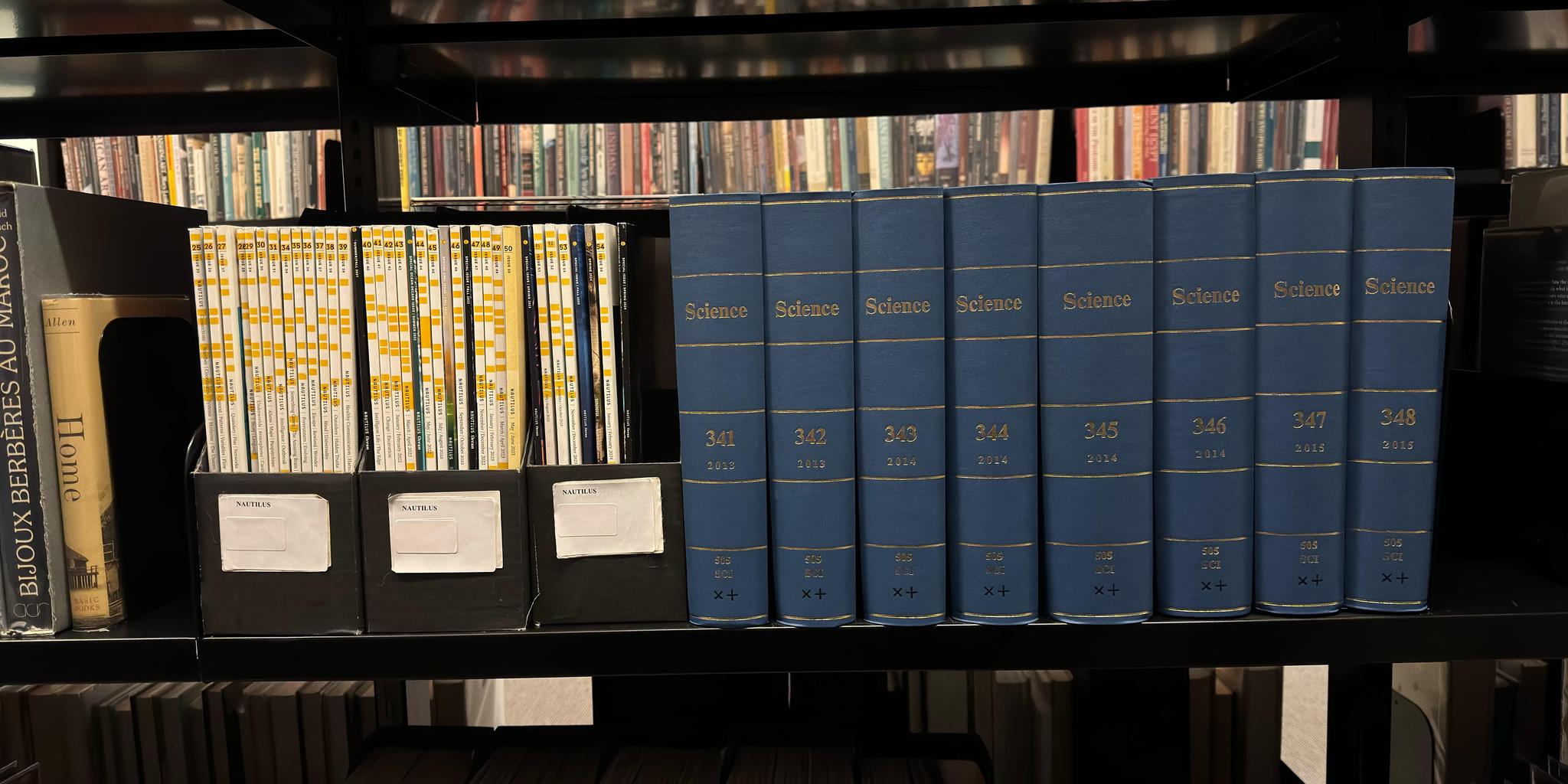 Shelf image