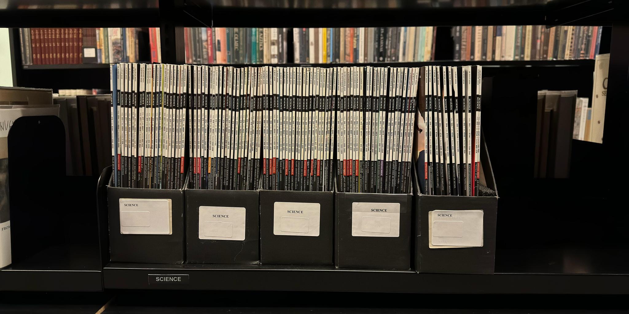 Shelf image