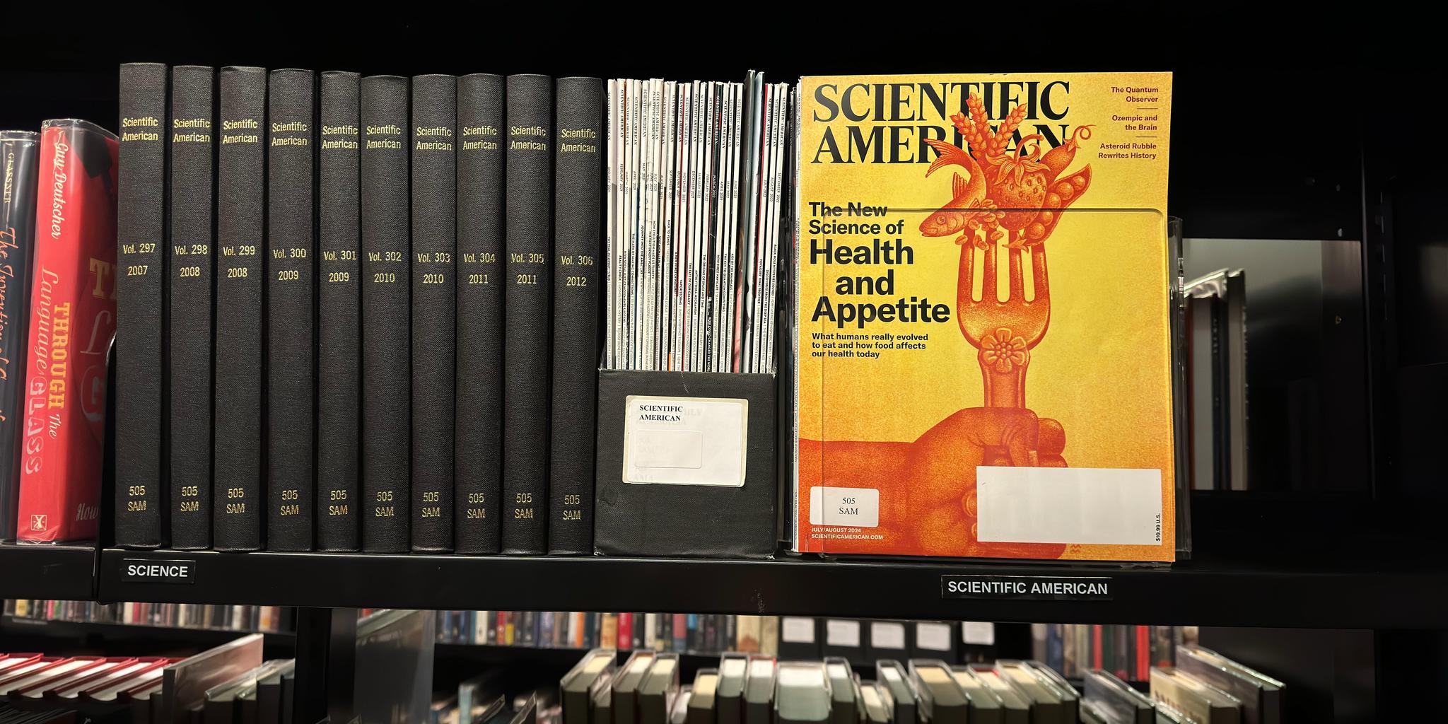 Shelf image
