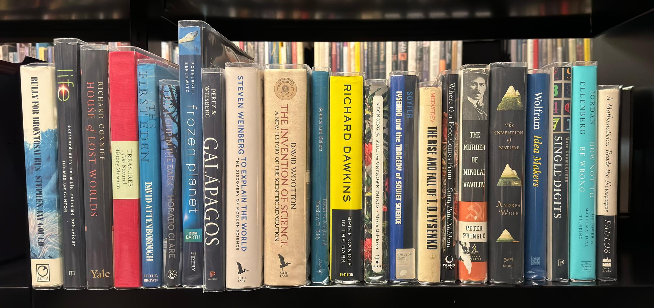 Shelf image