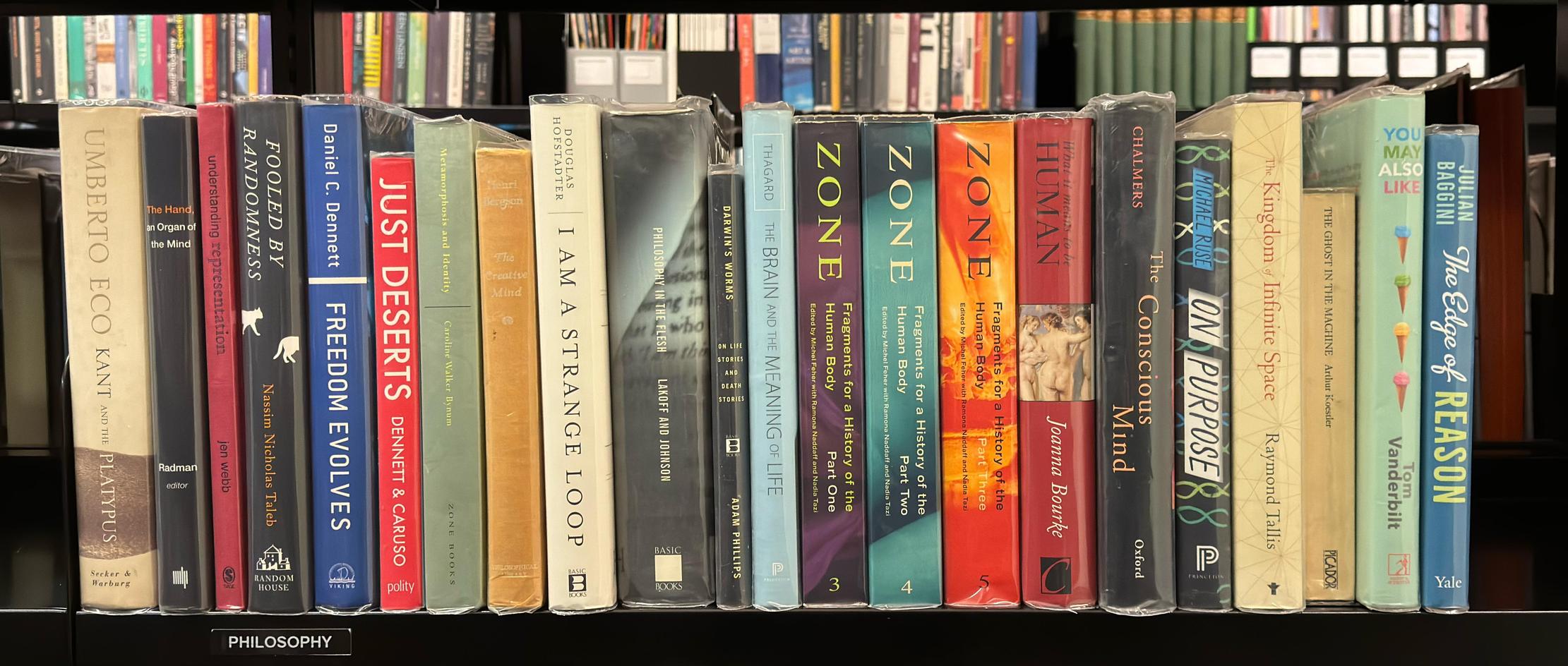 Shelf image