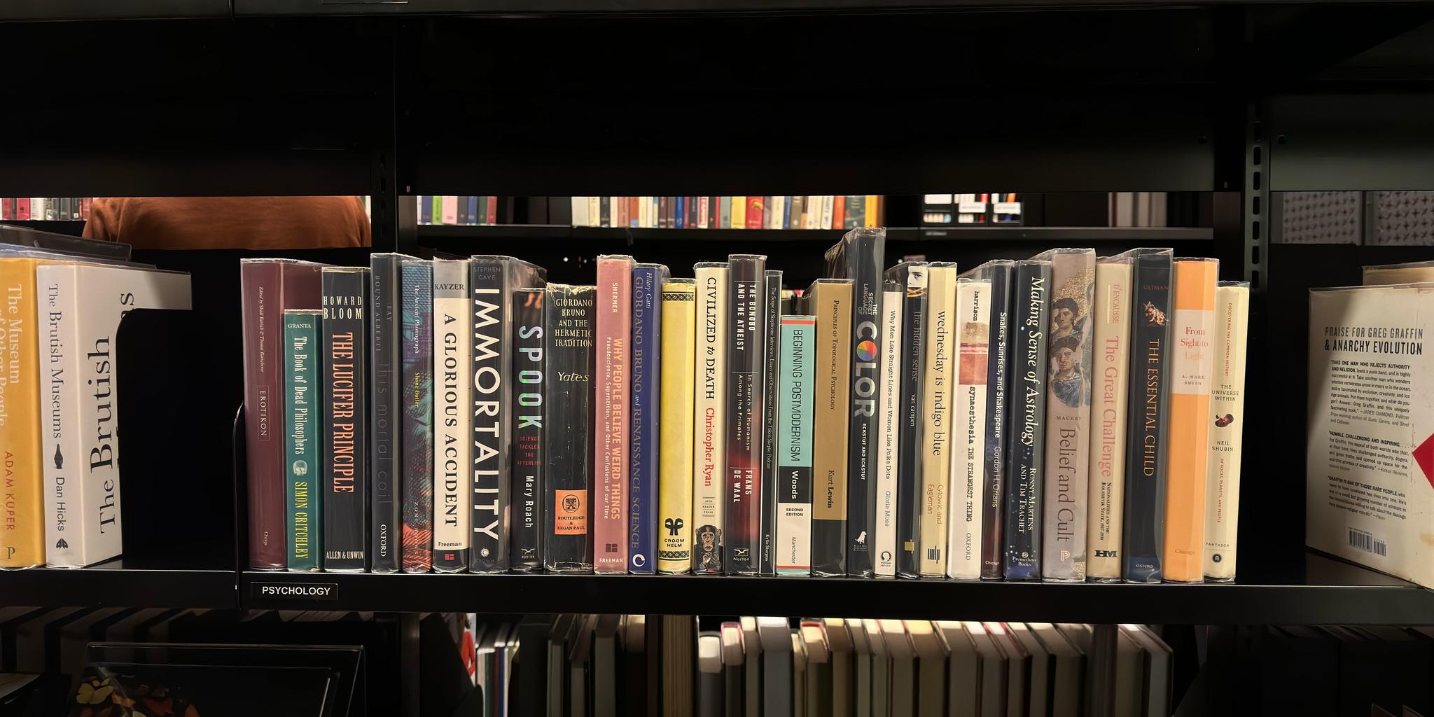 Shelf image