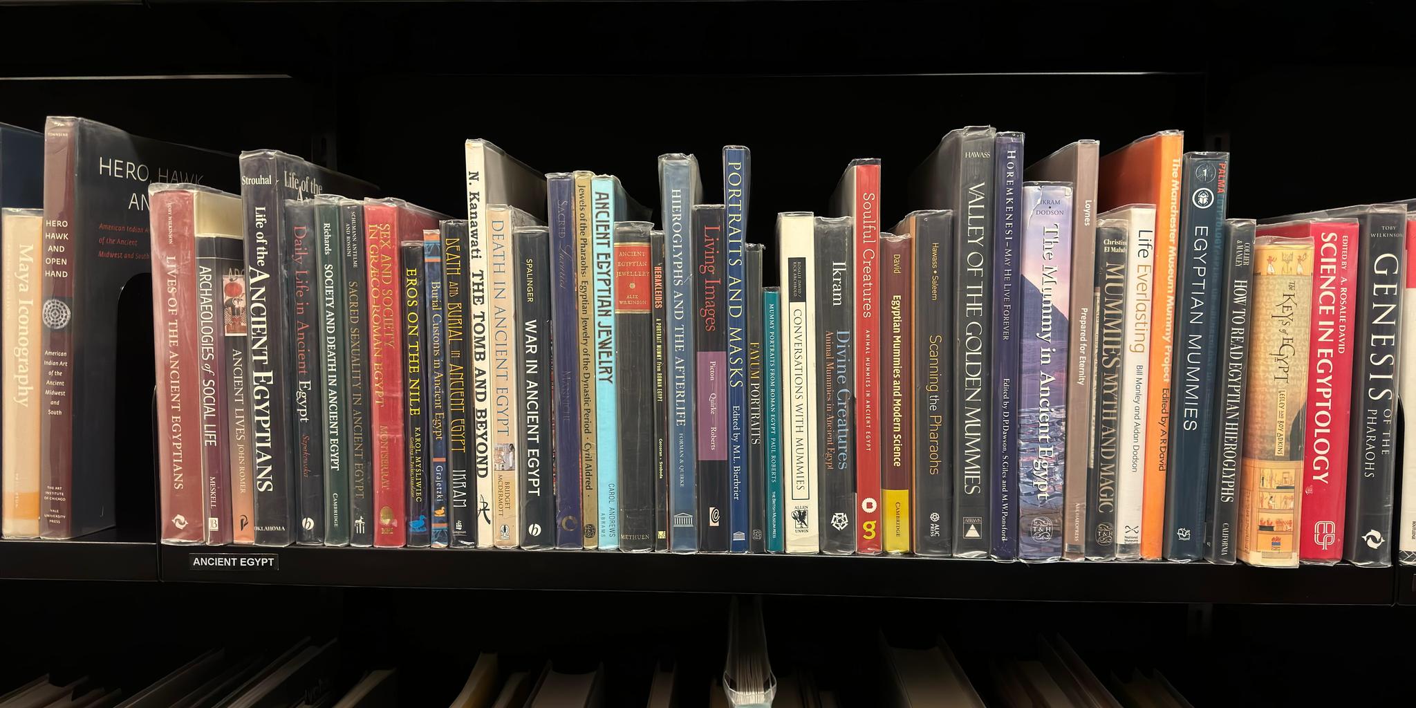 Shelf image