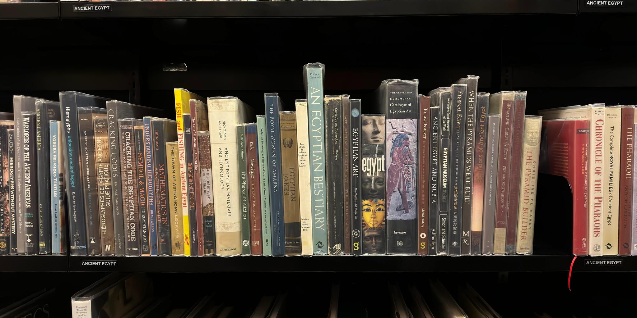 Shelf image