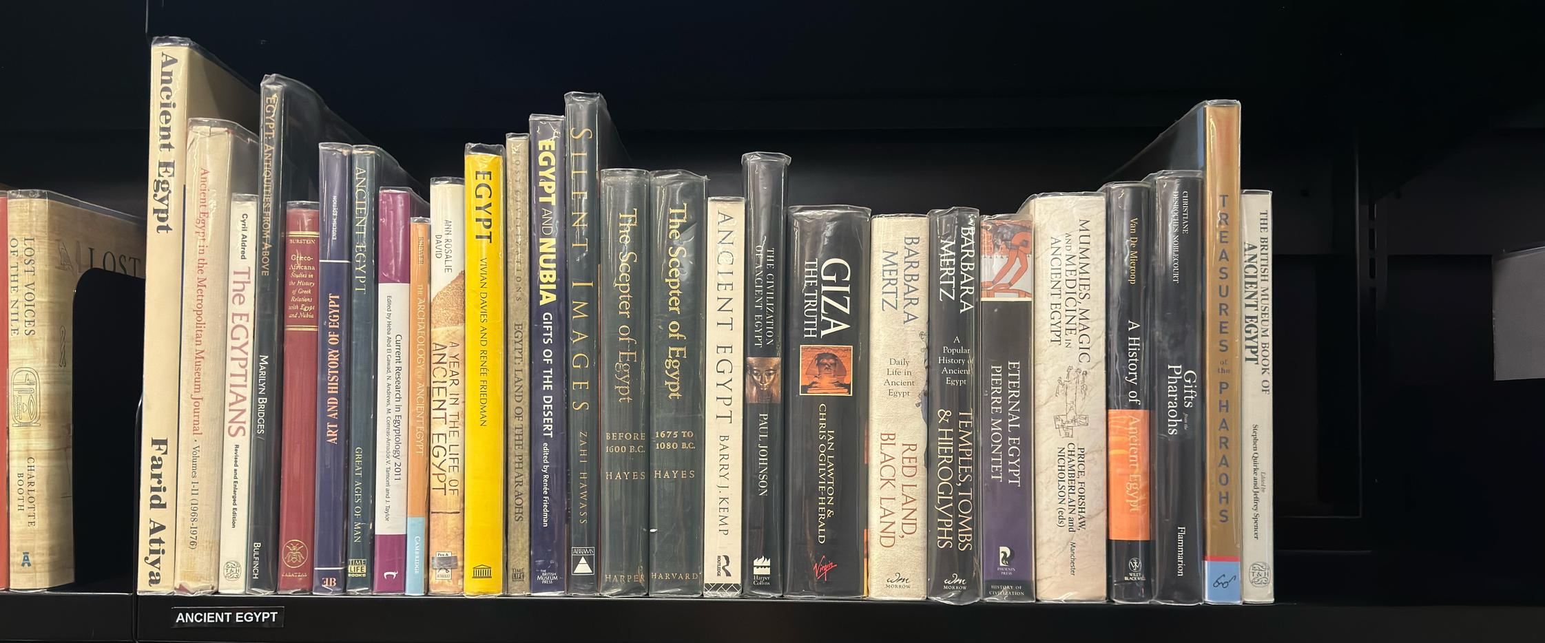 Shelf image