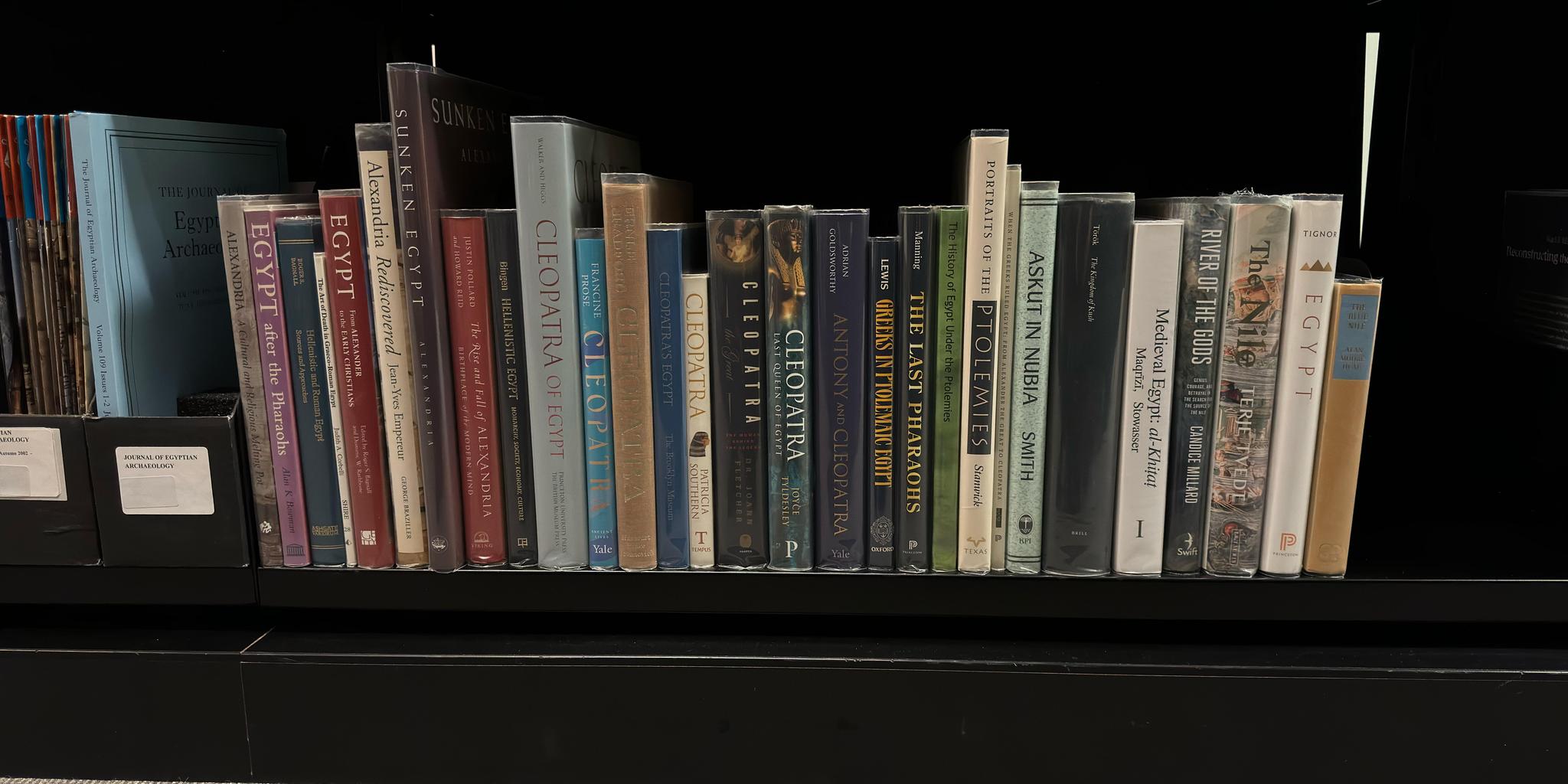 Shelf image