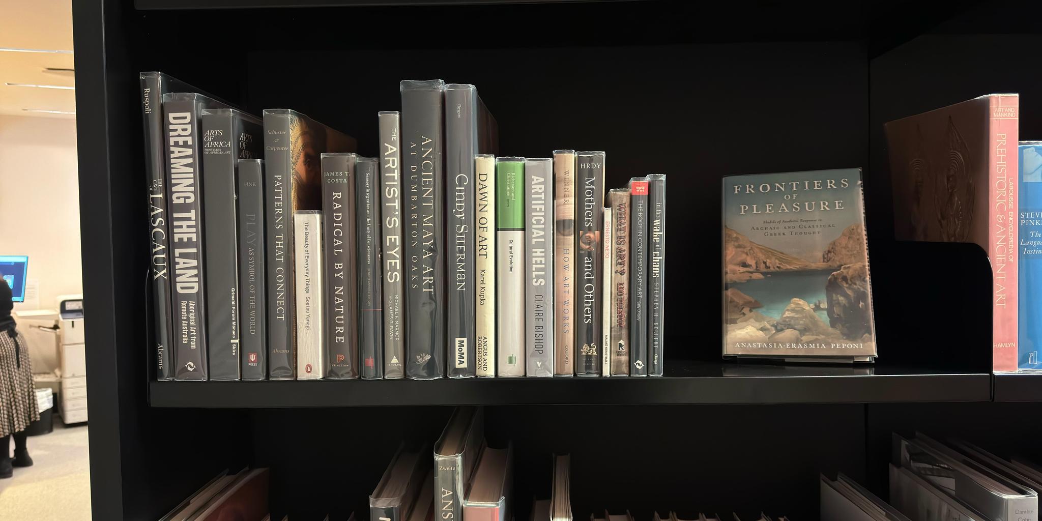 Shelf image
