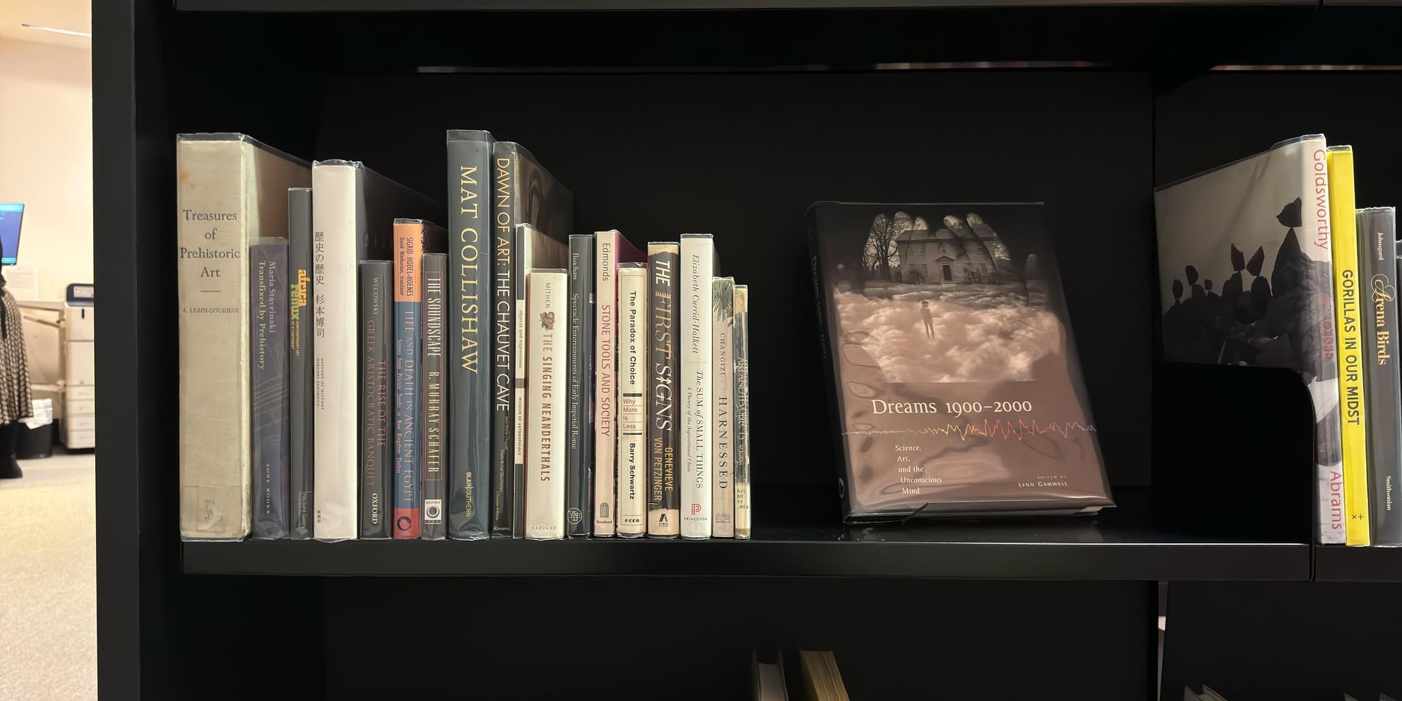 Shelf image