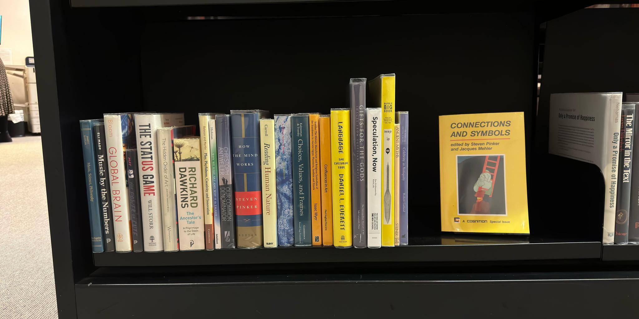 Shelf image
