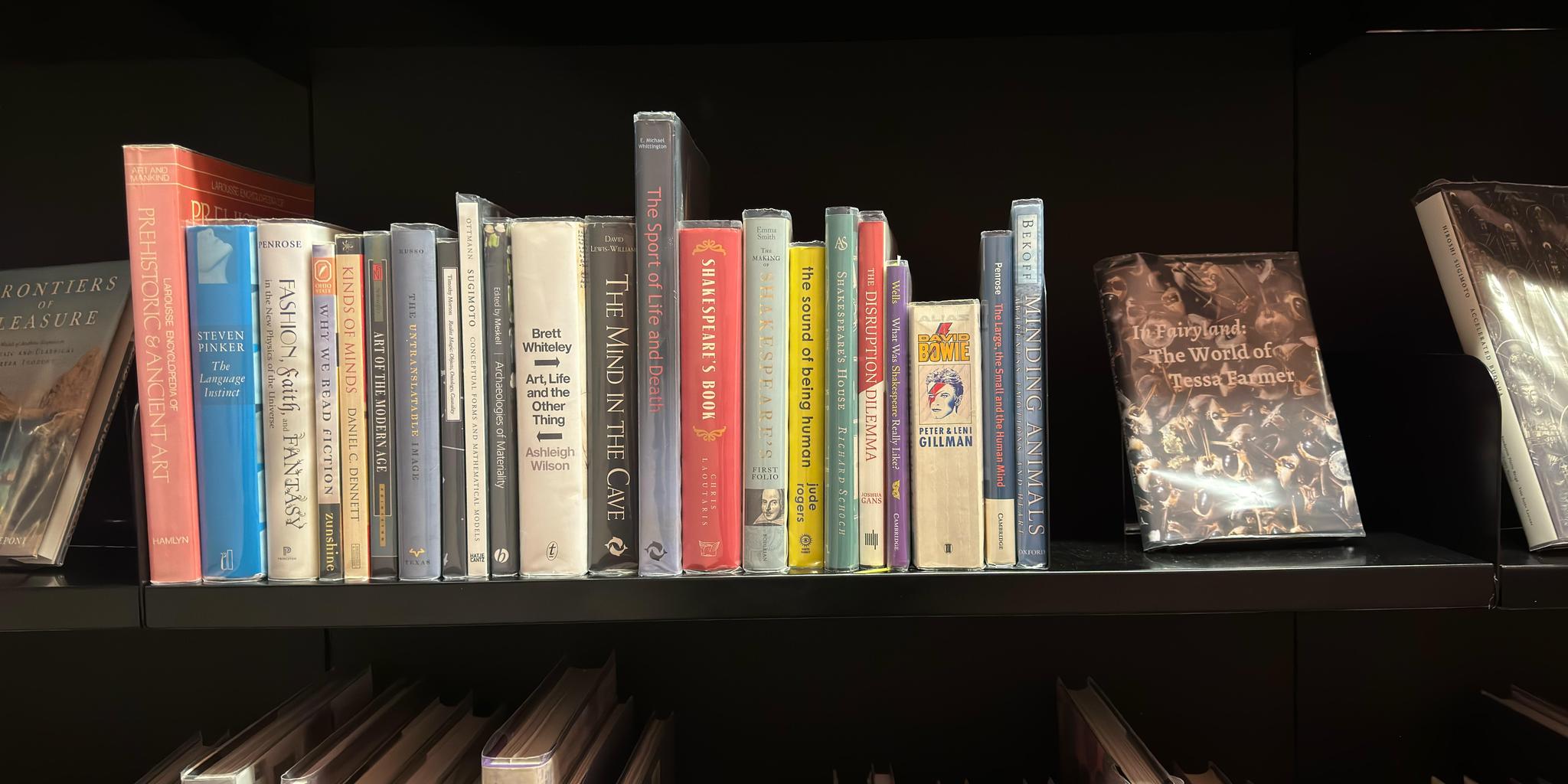 Shelf image