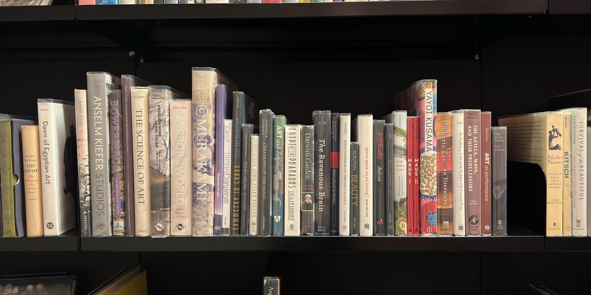 Shelf image
