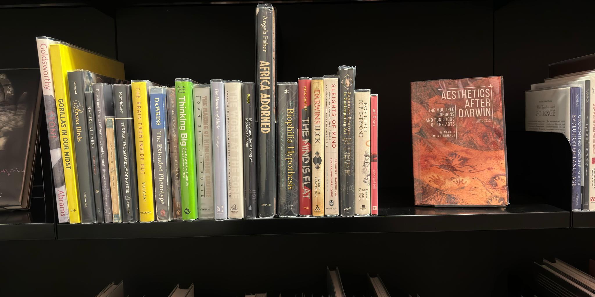 Shelf image