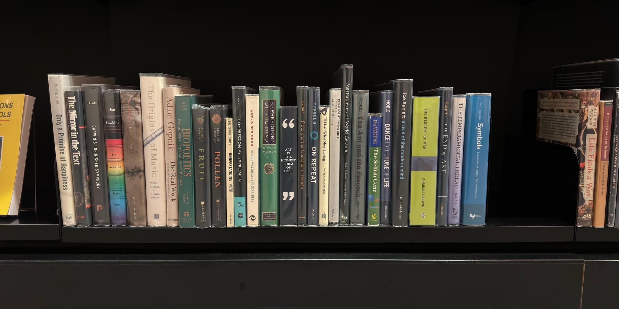 Shelf image
