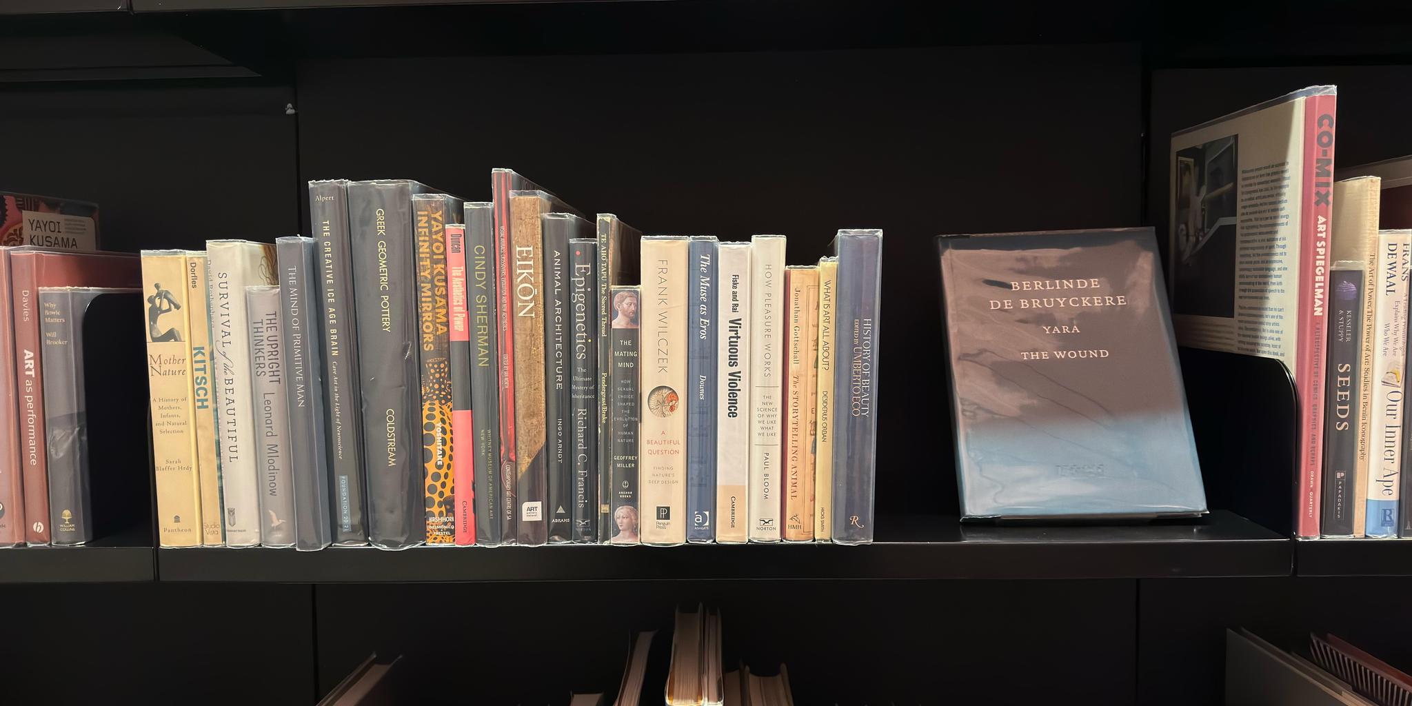 Shelf image