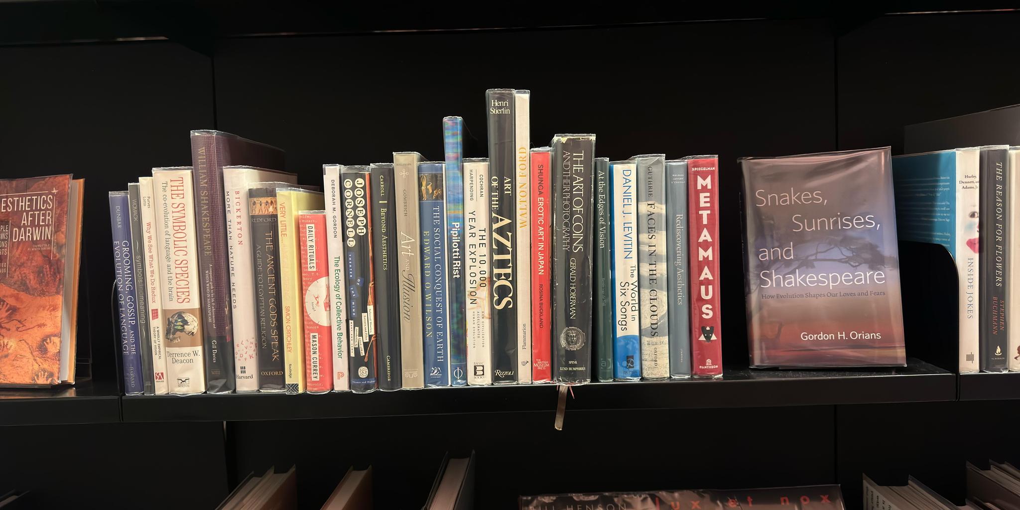 Shelf image