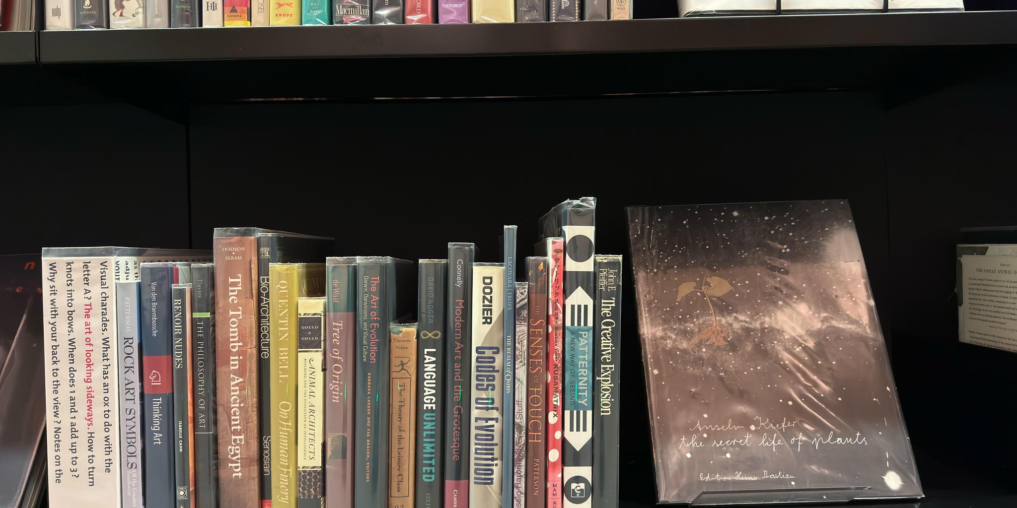 Shelf image