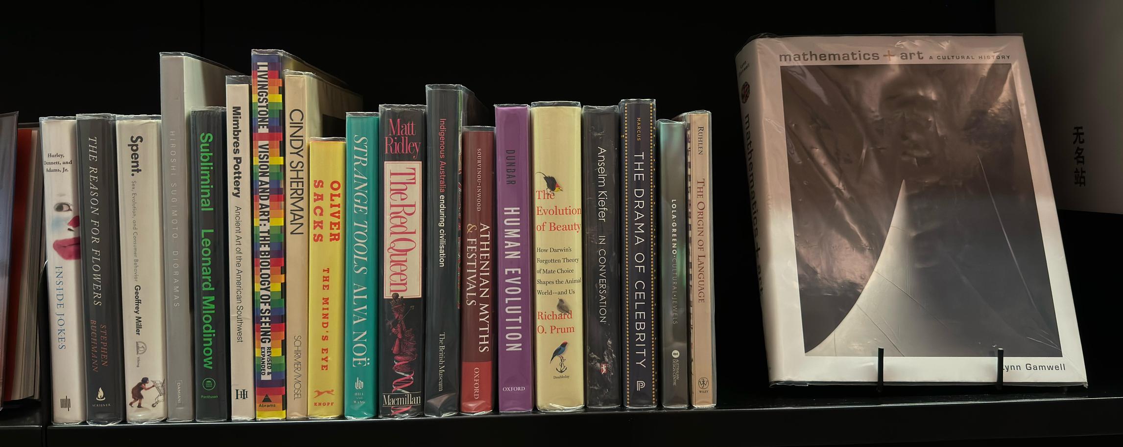 Shelf image