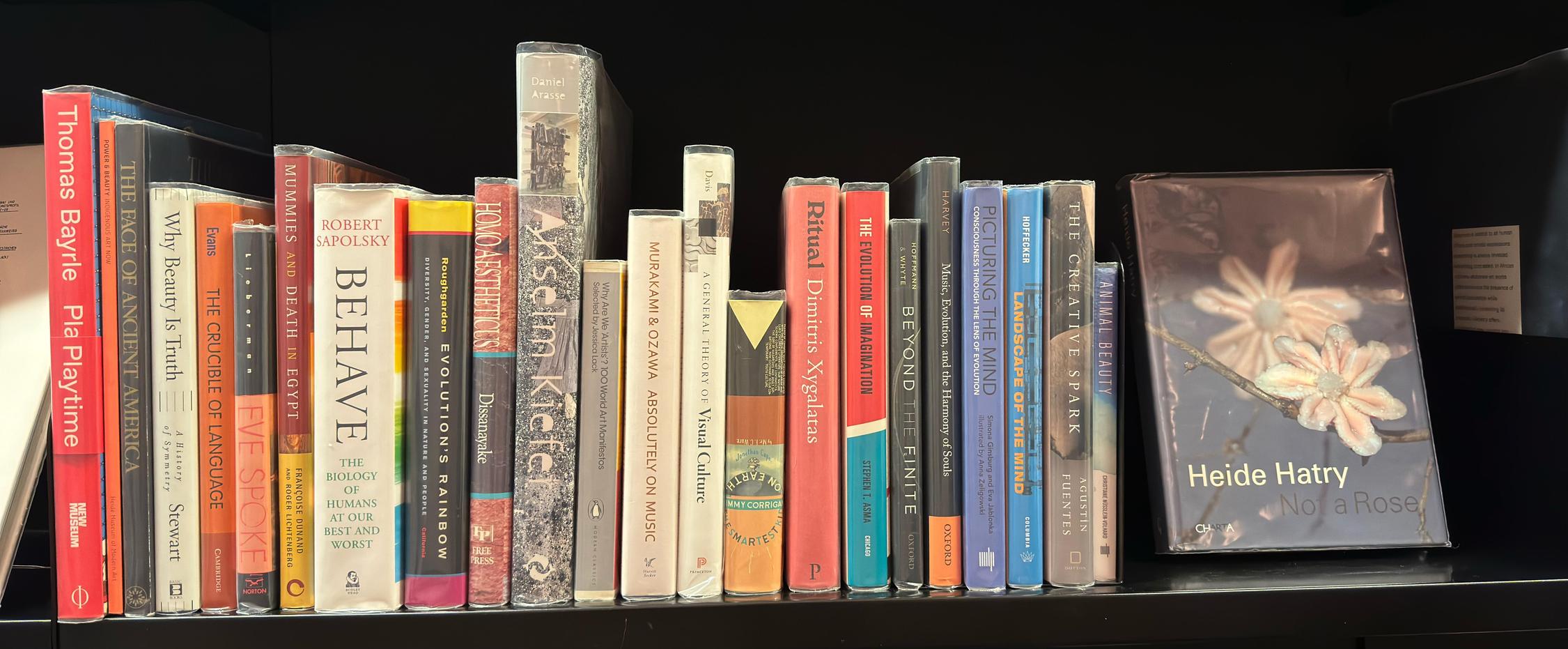 Shelf image