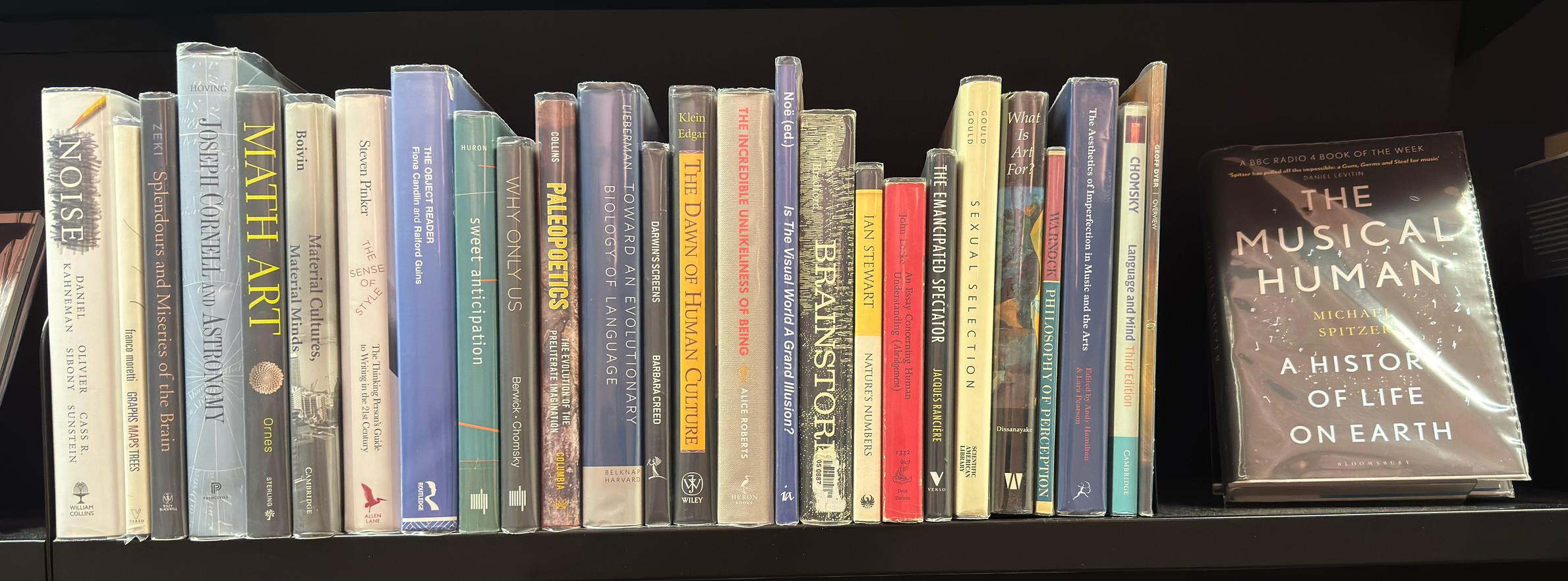 Shelf image