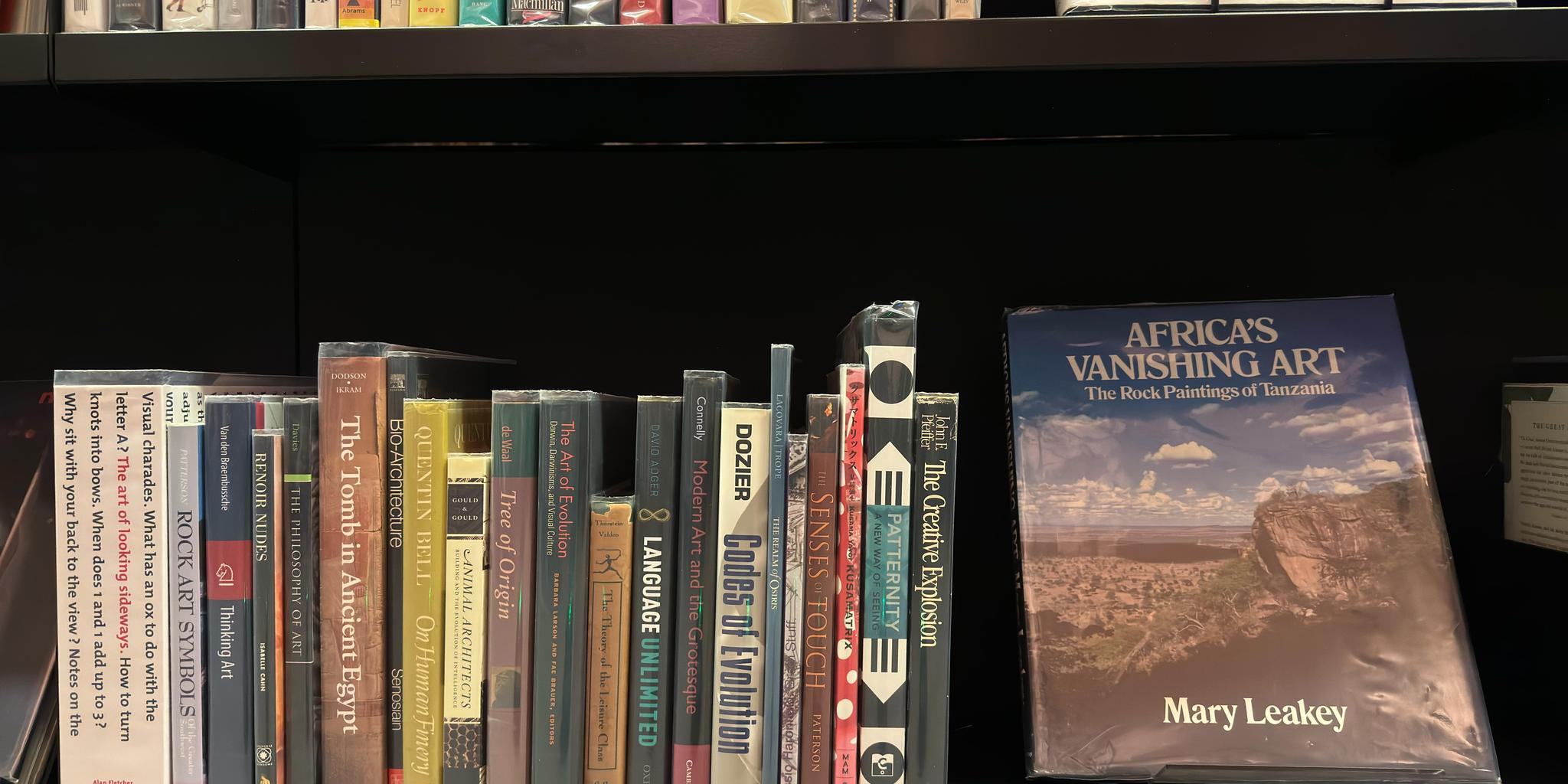 Shelf image