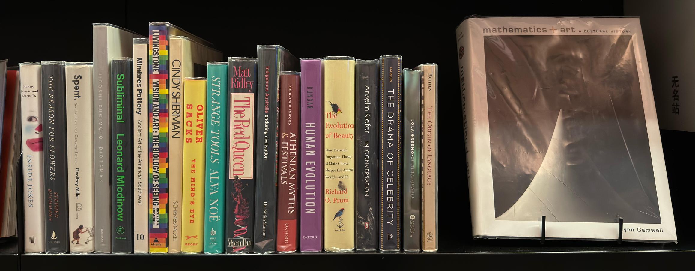Shelf image