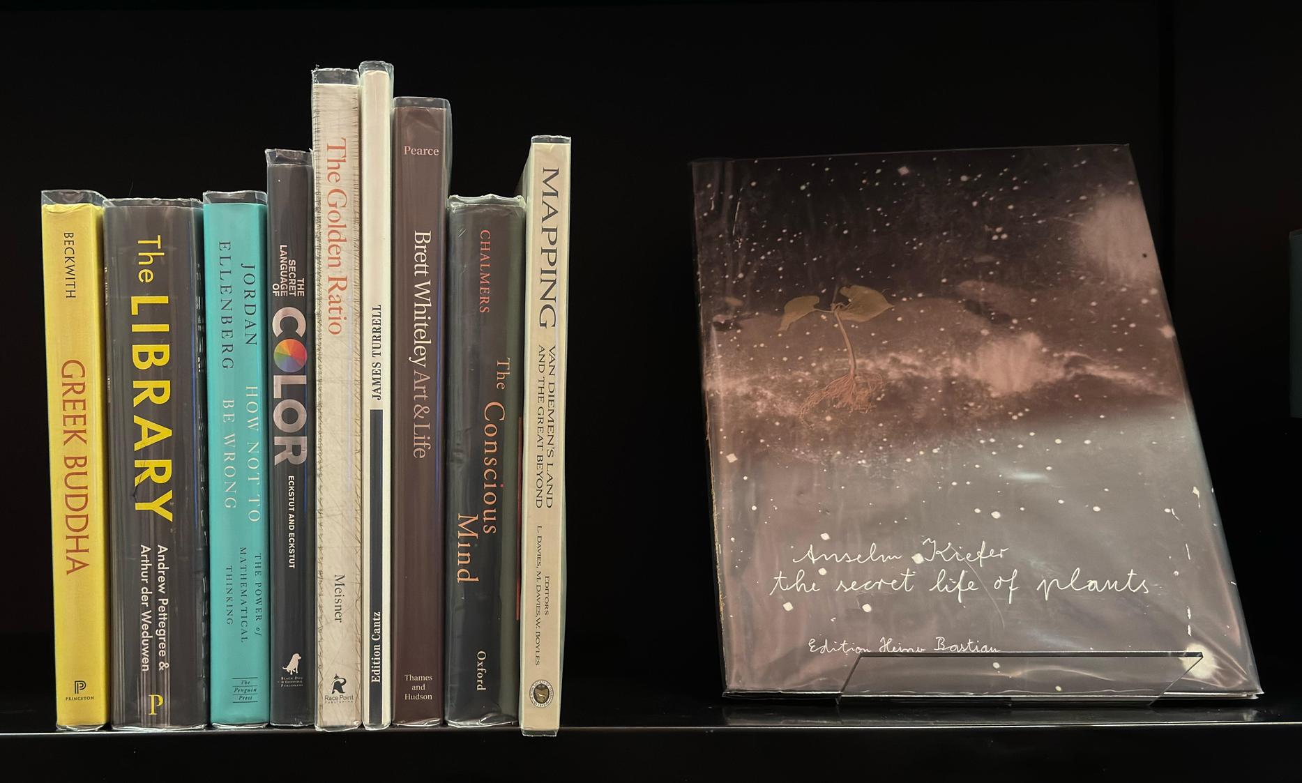 Shelf image