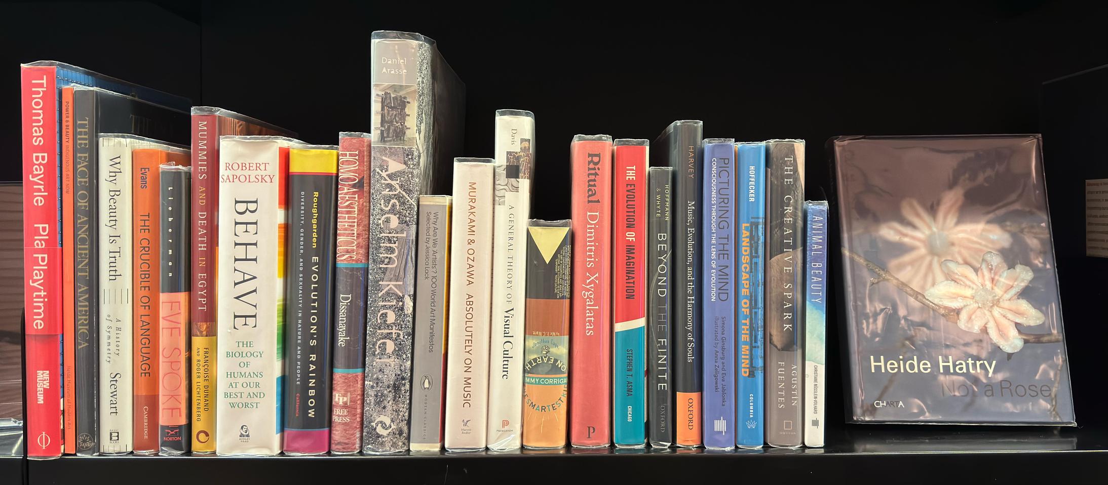 Shelf image