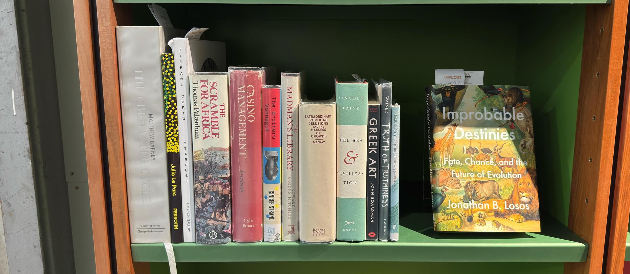 Shelf image