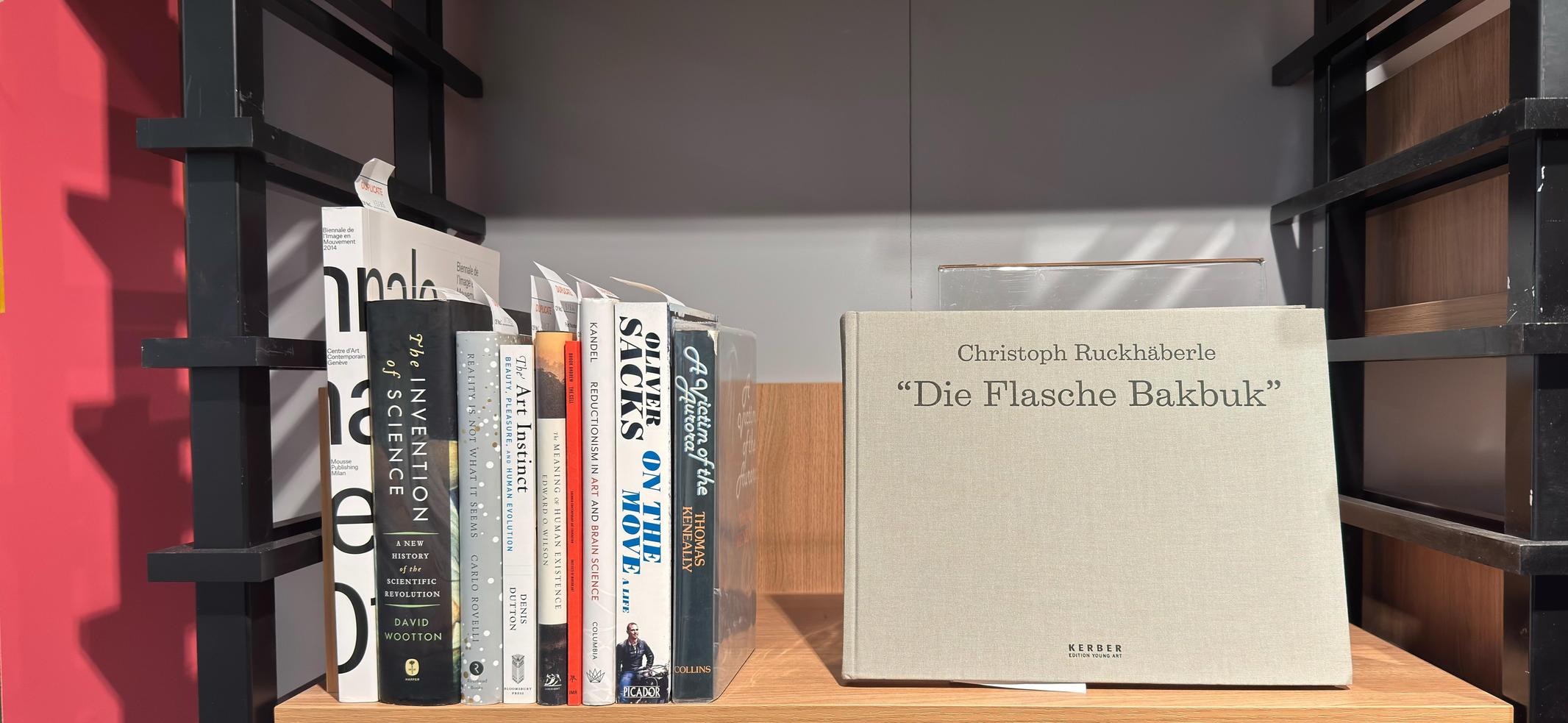 Shelf image
