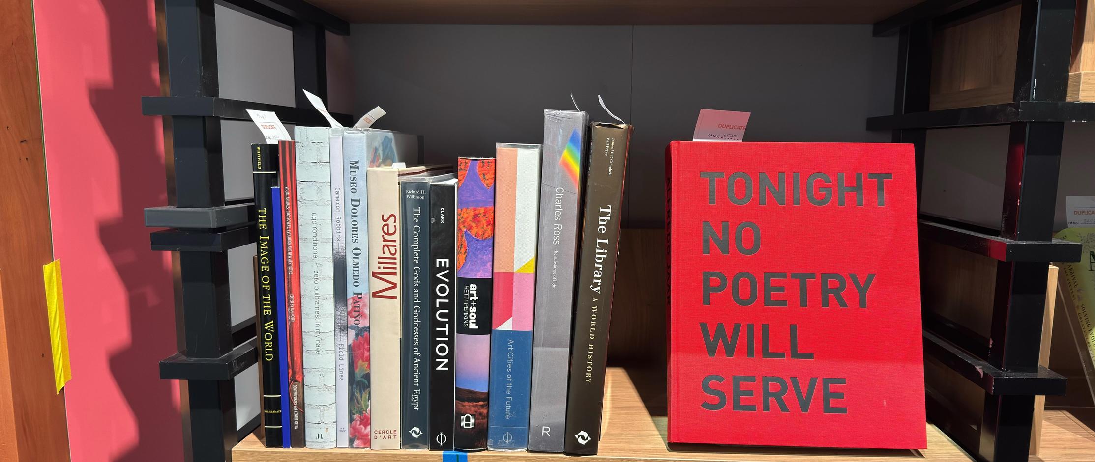 Shelf image