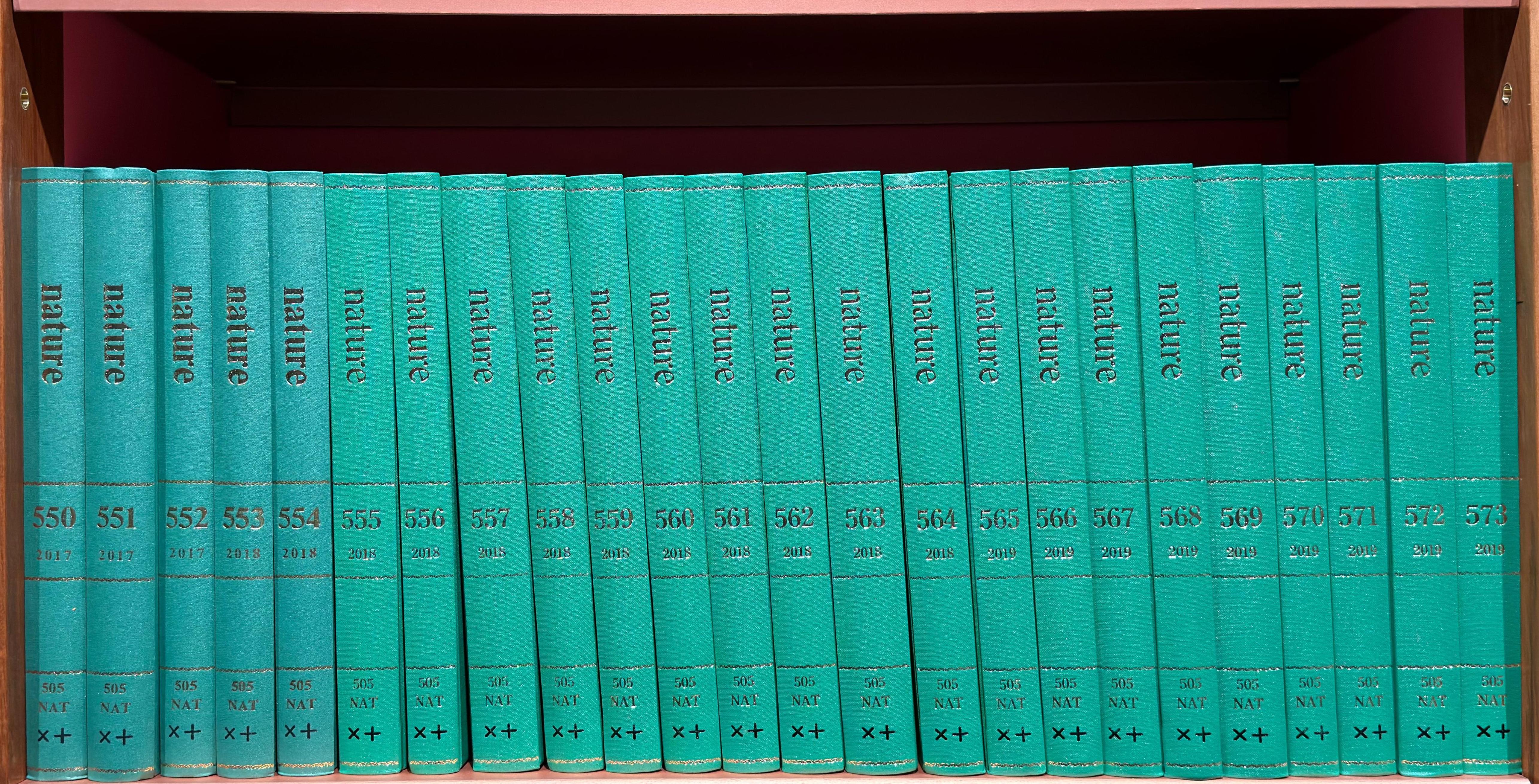 Shelf image