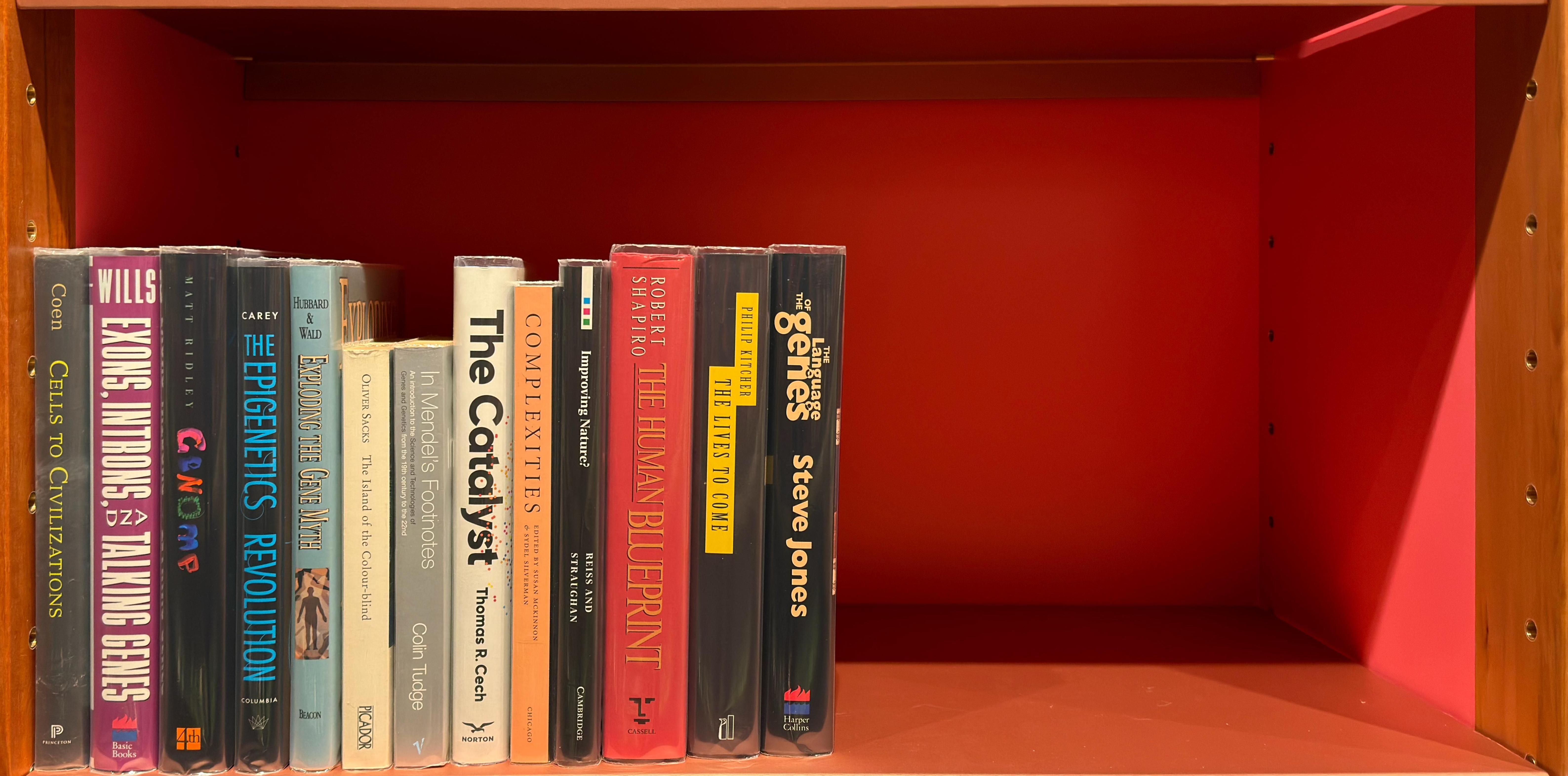 Shelf image