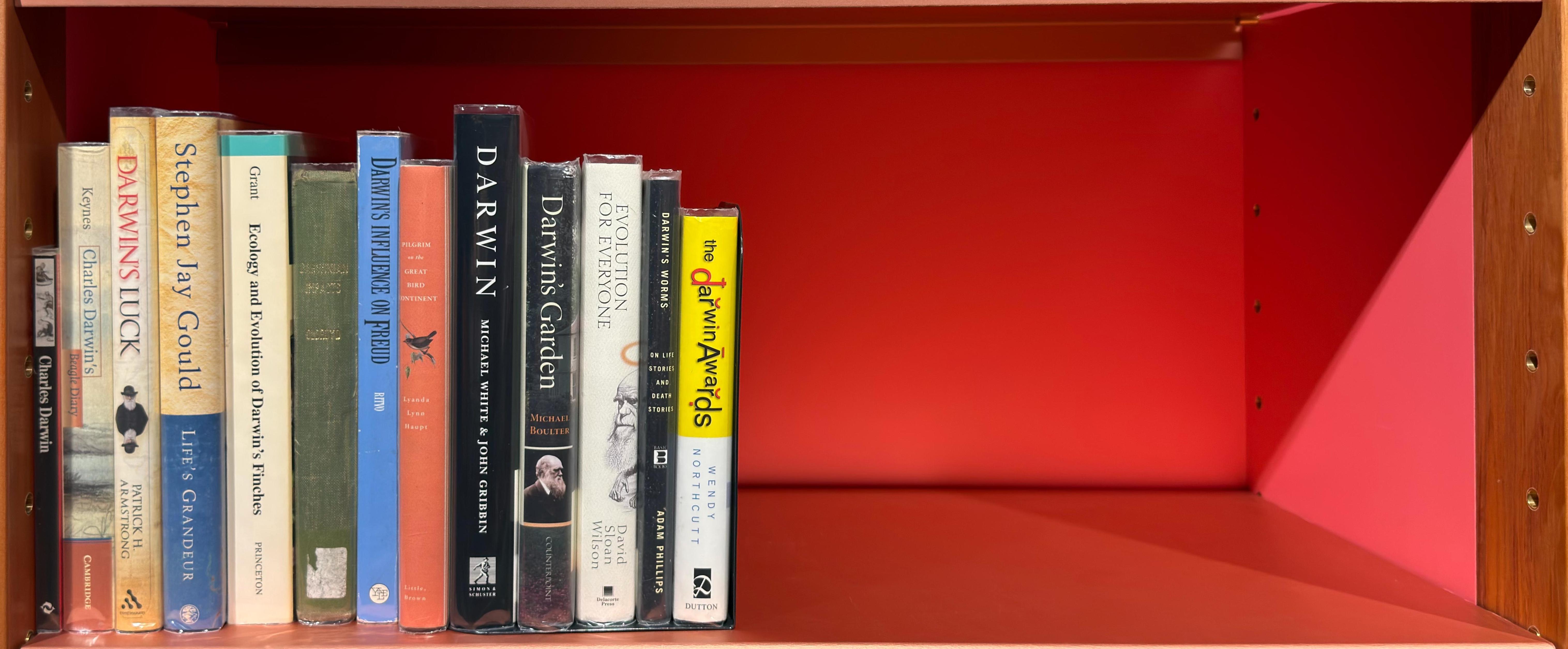 Shelf image