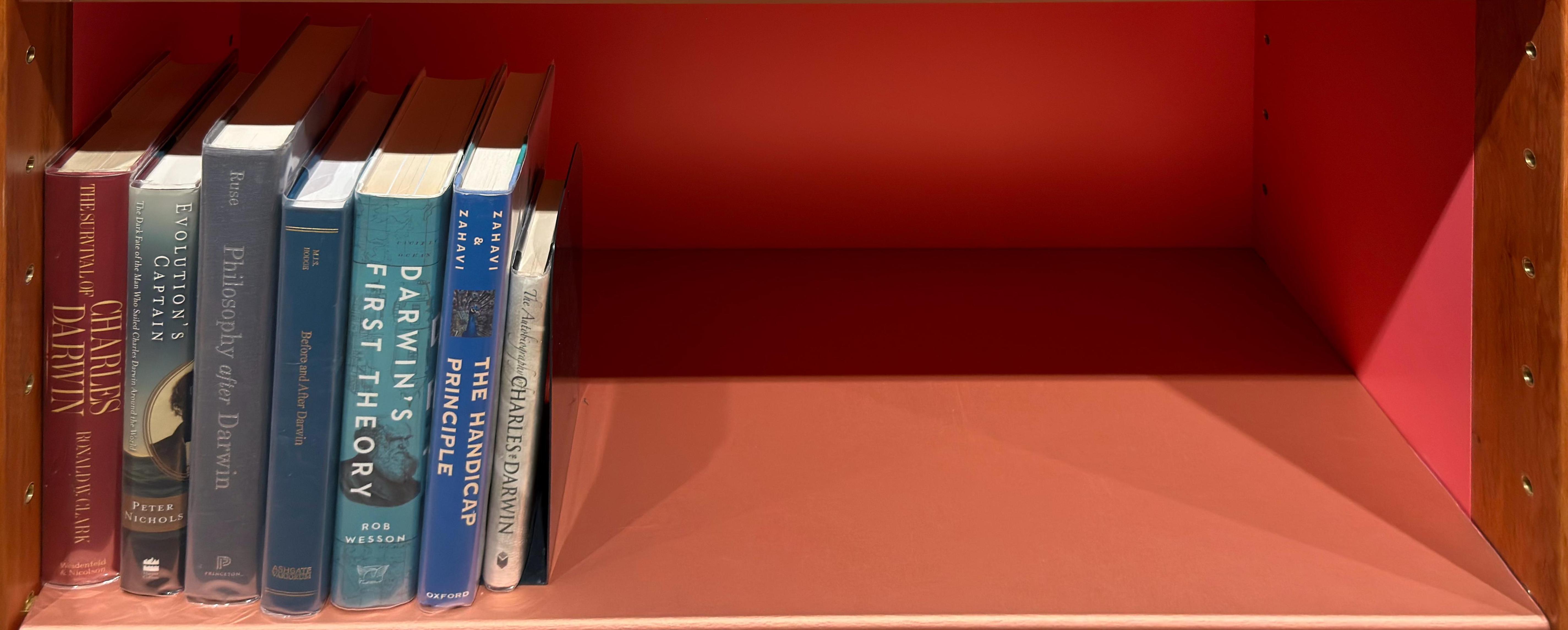 Shelf image