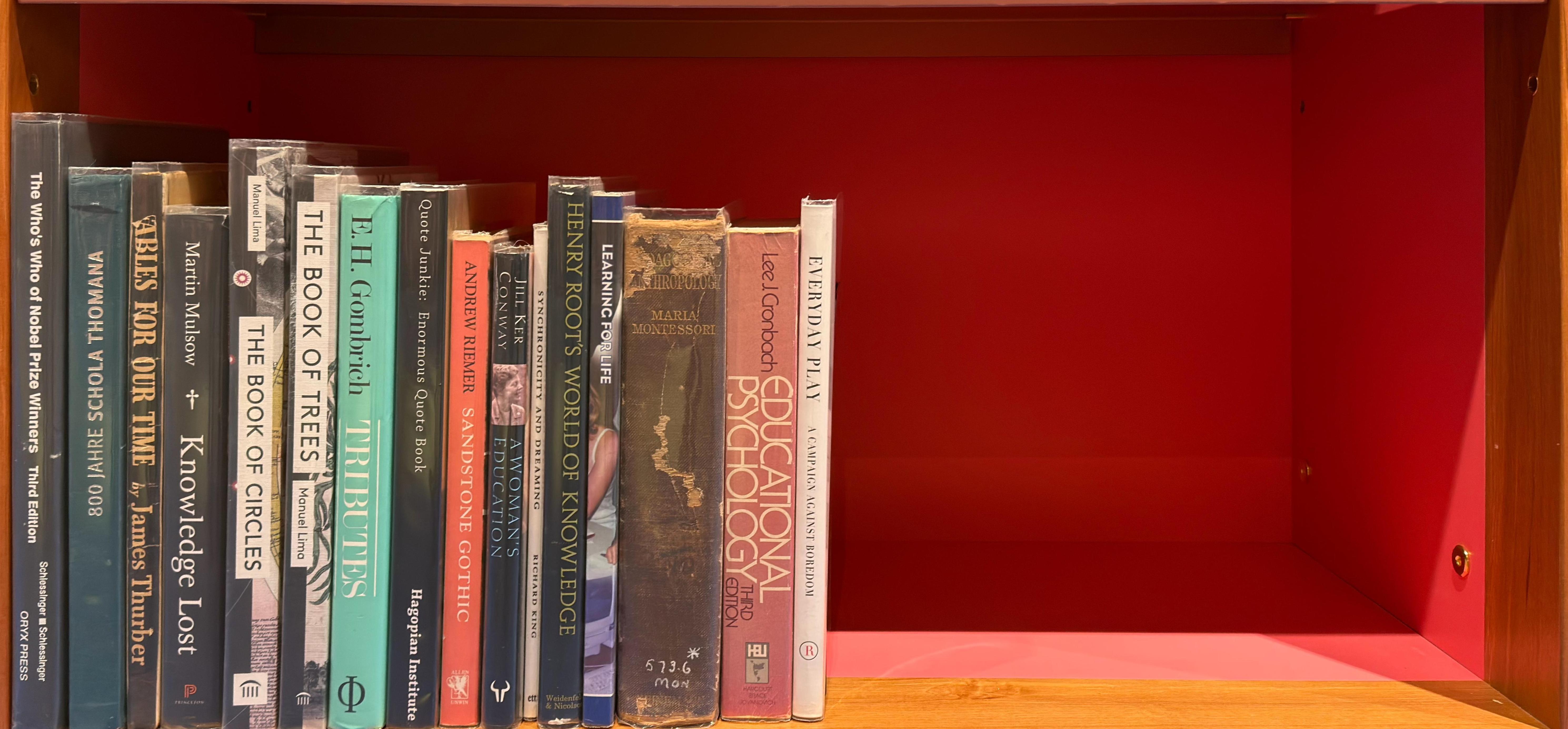 Shelf image