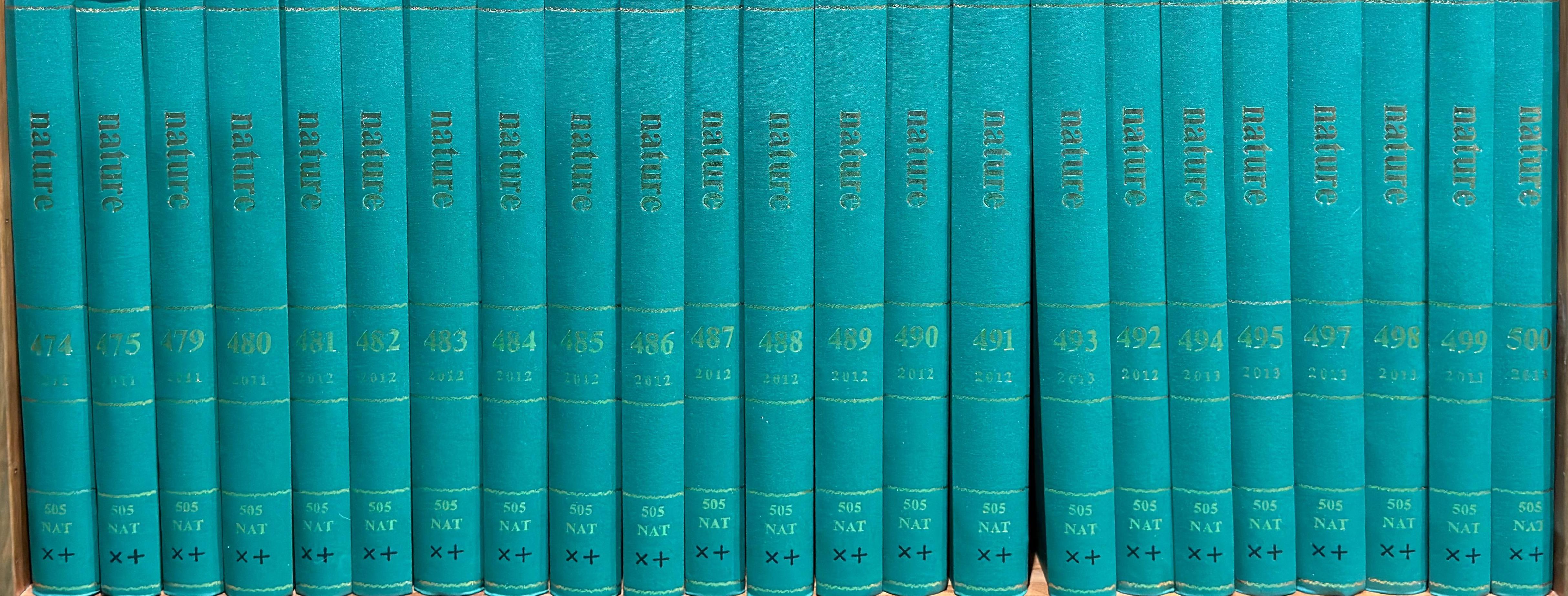 Shelf image