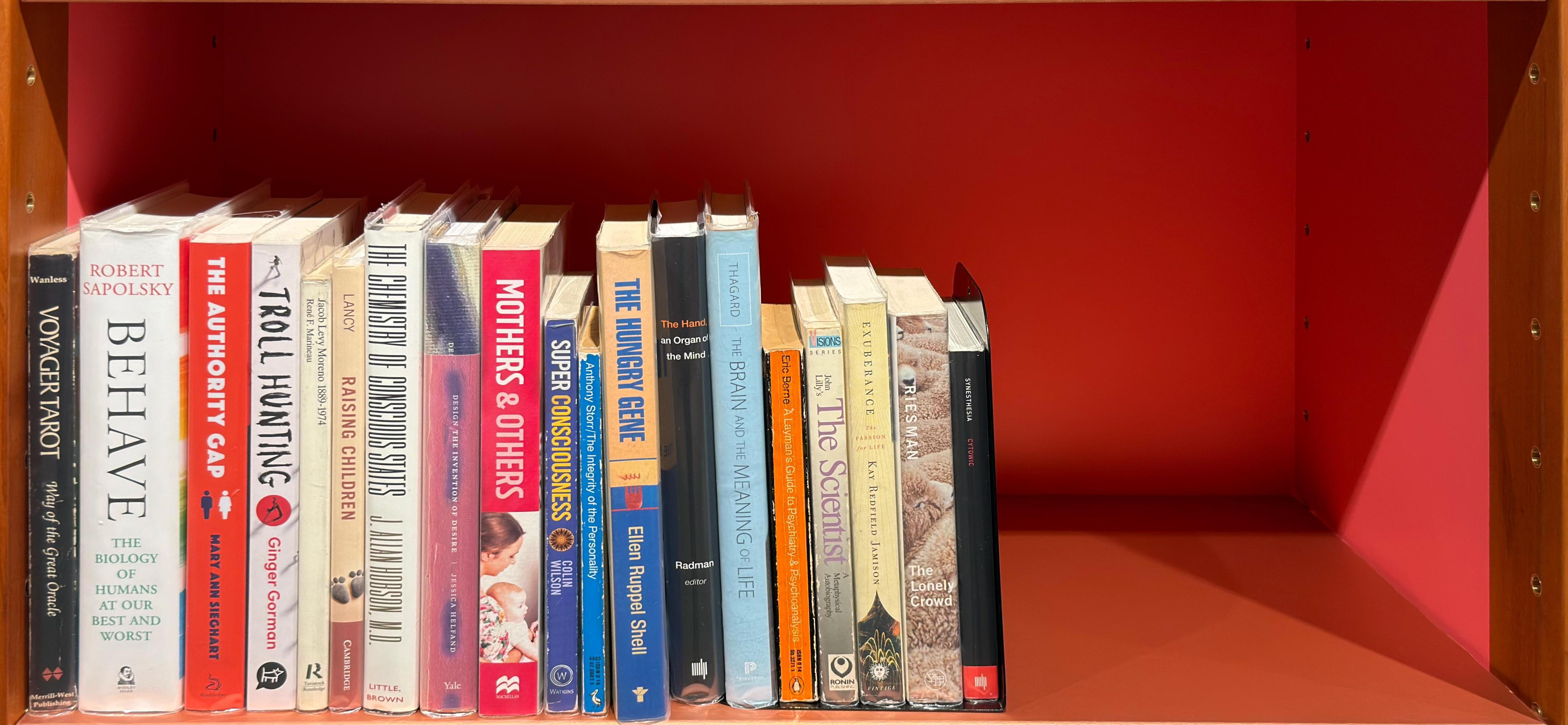 Shelf image
