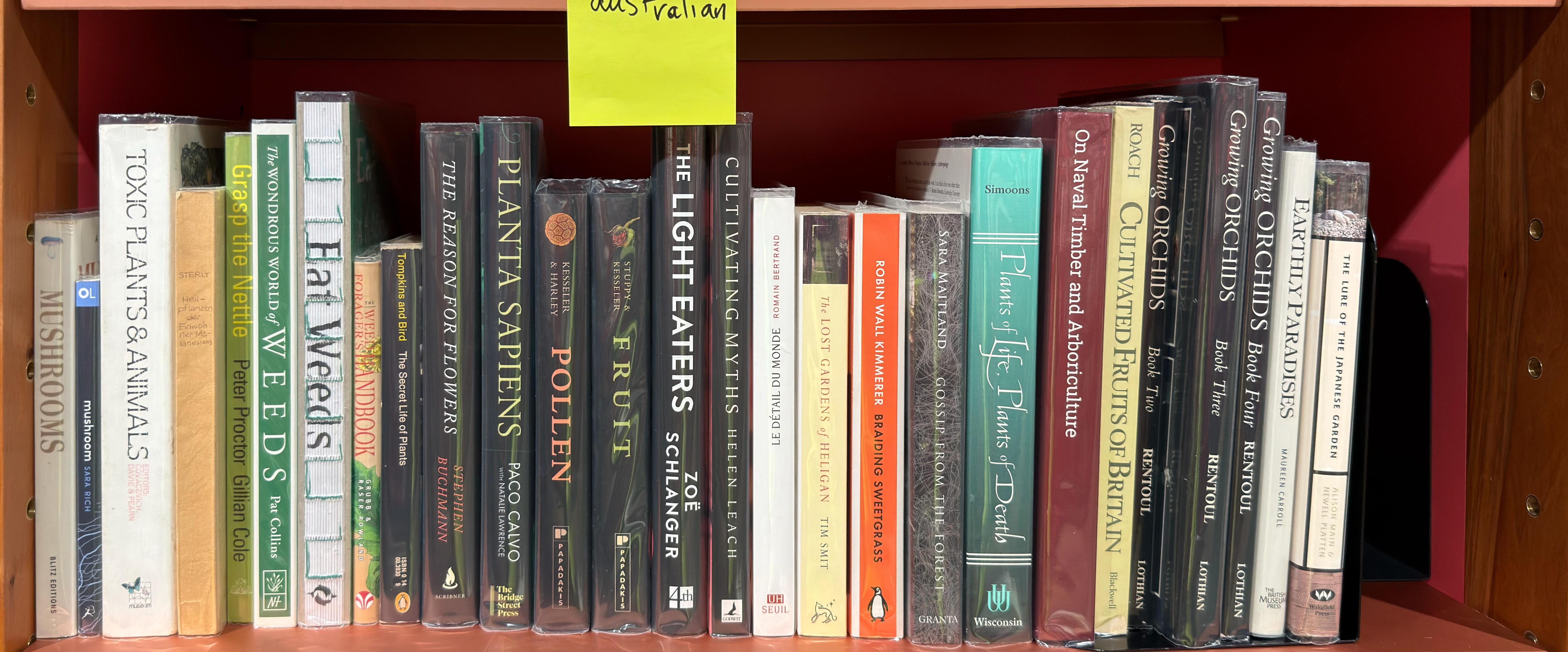 Shelf image