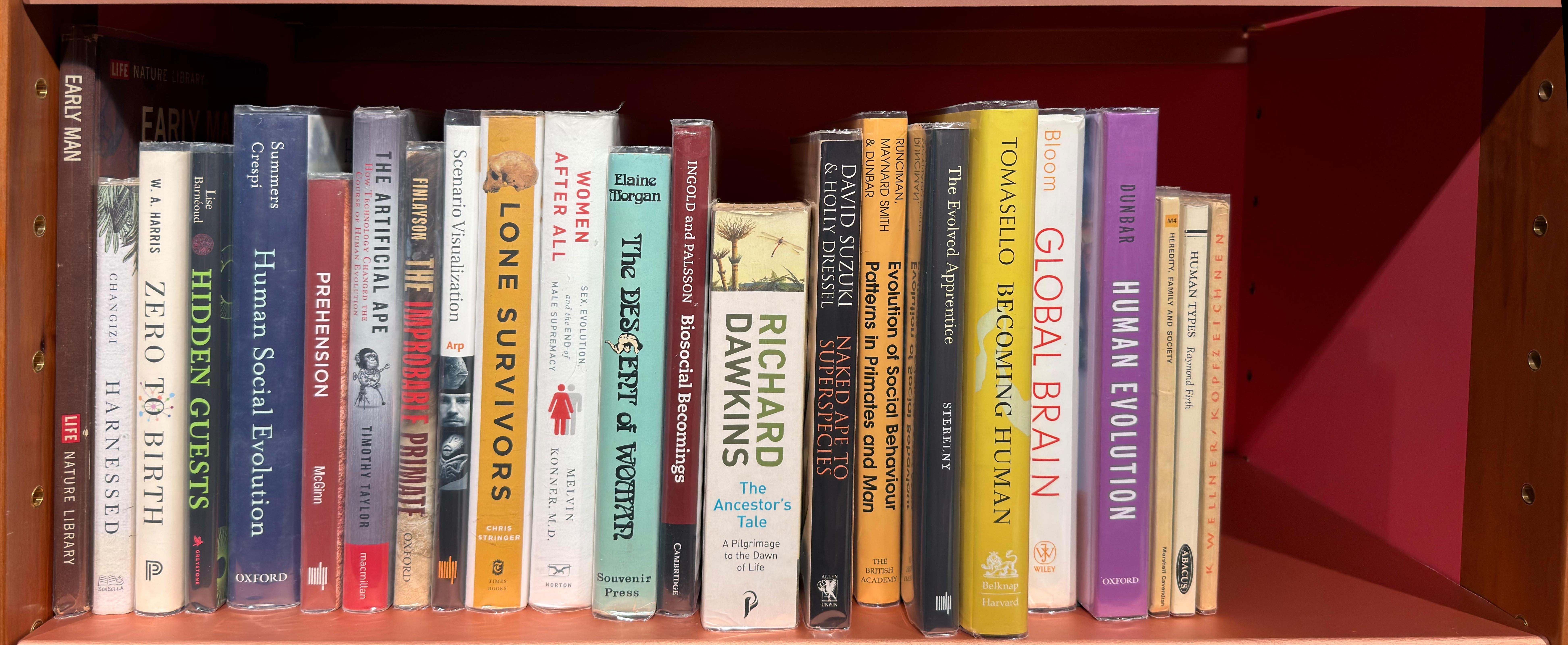 Shelf image