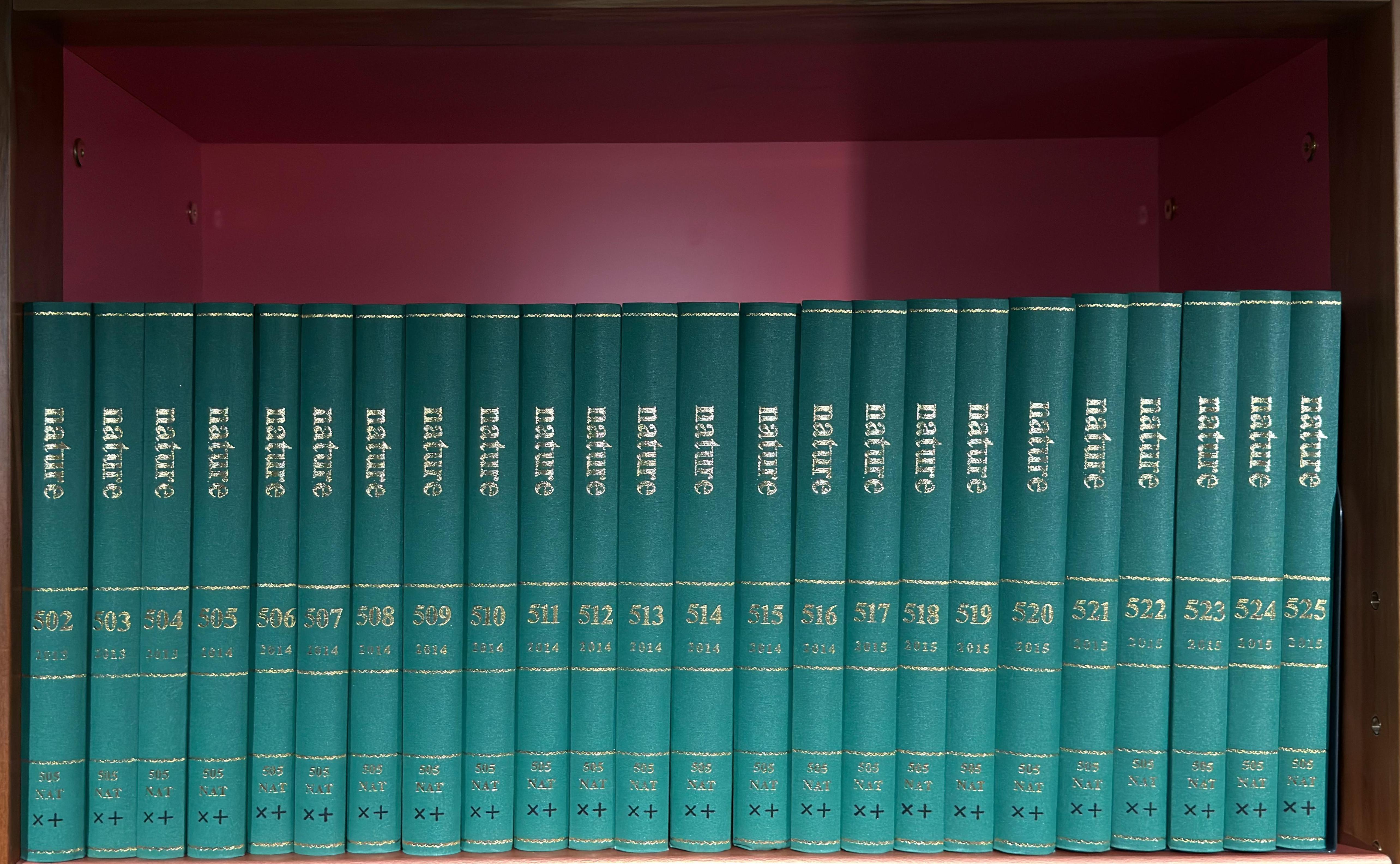 Shelf image