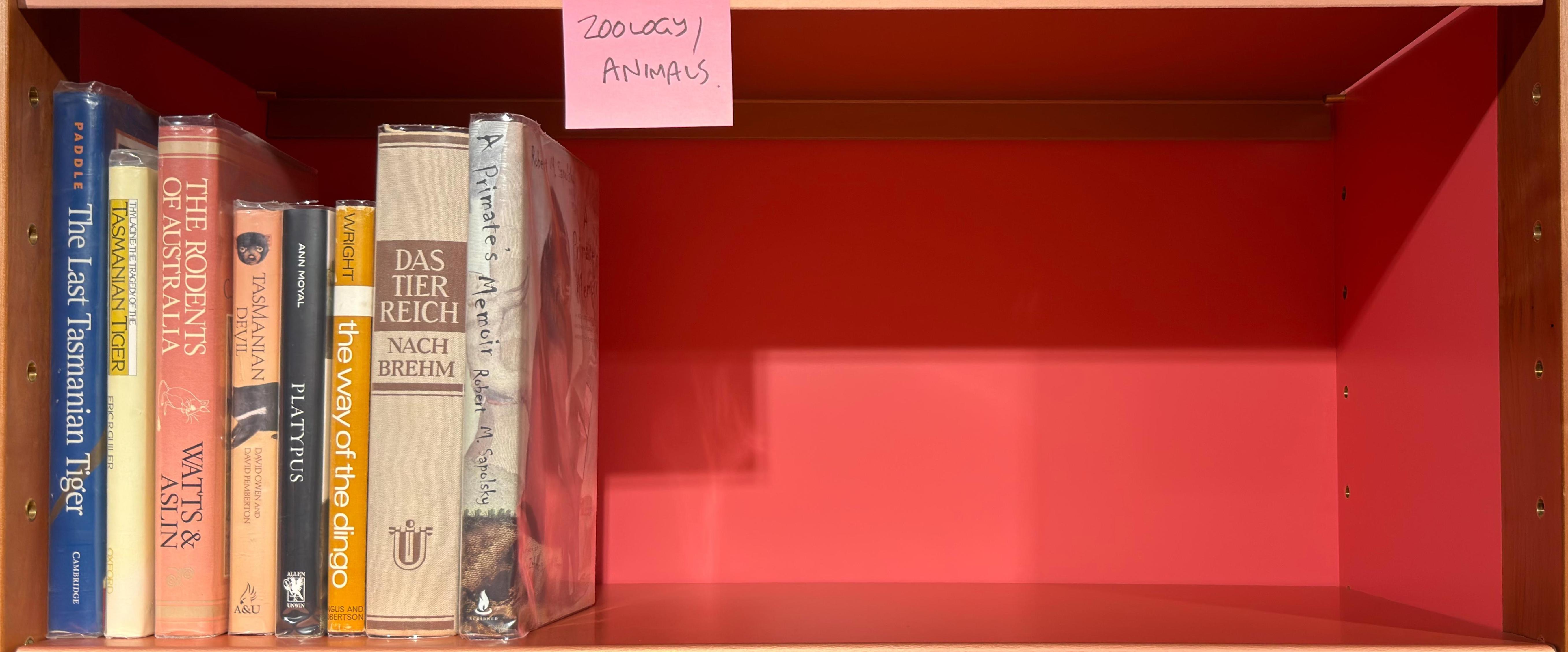 Shelf image