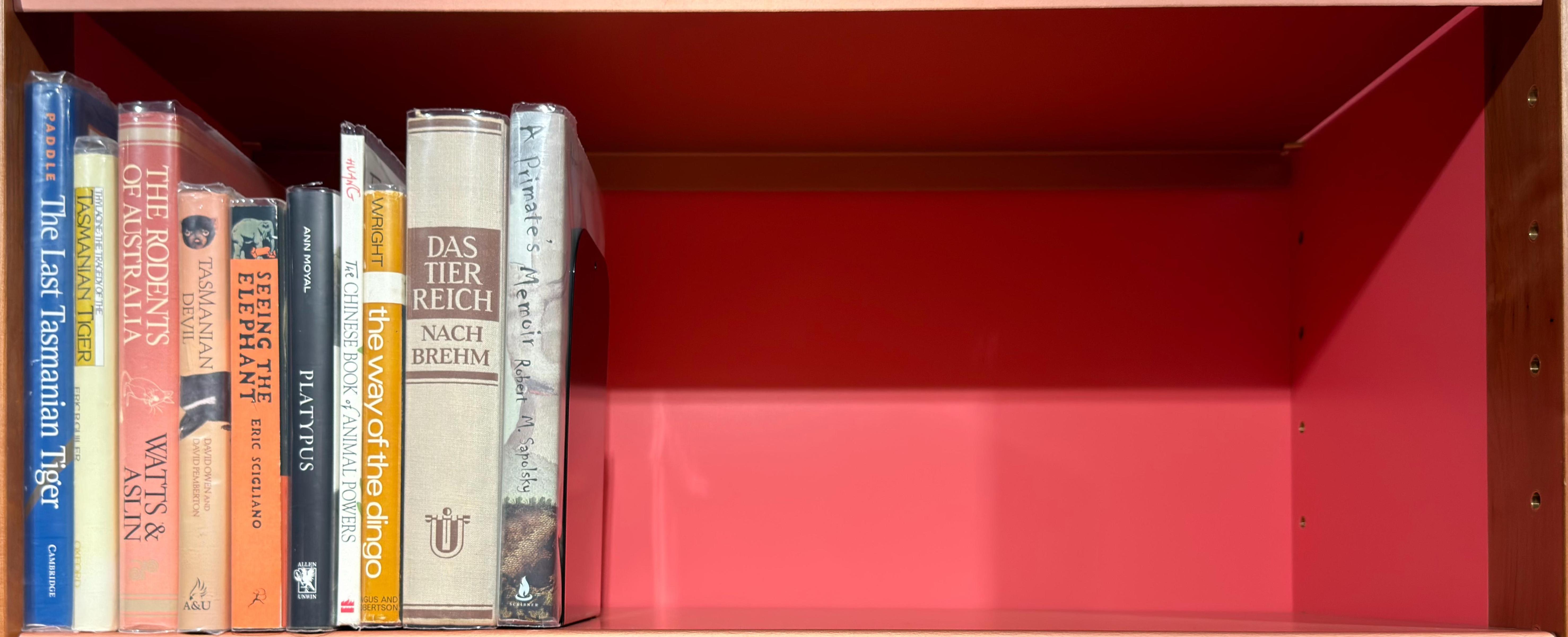 Shelf image