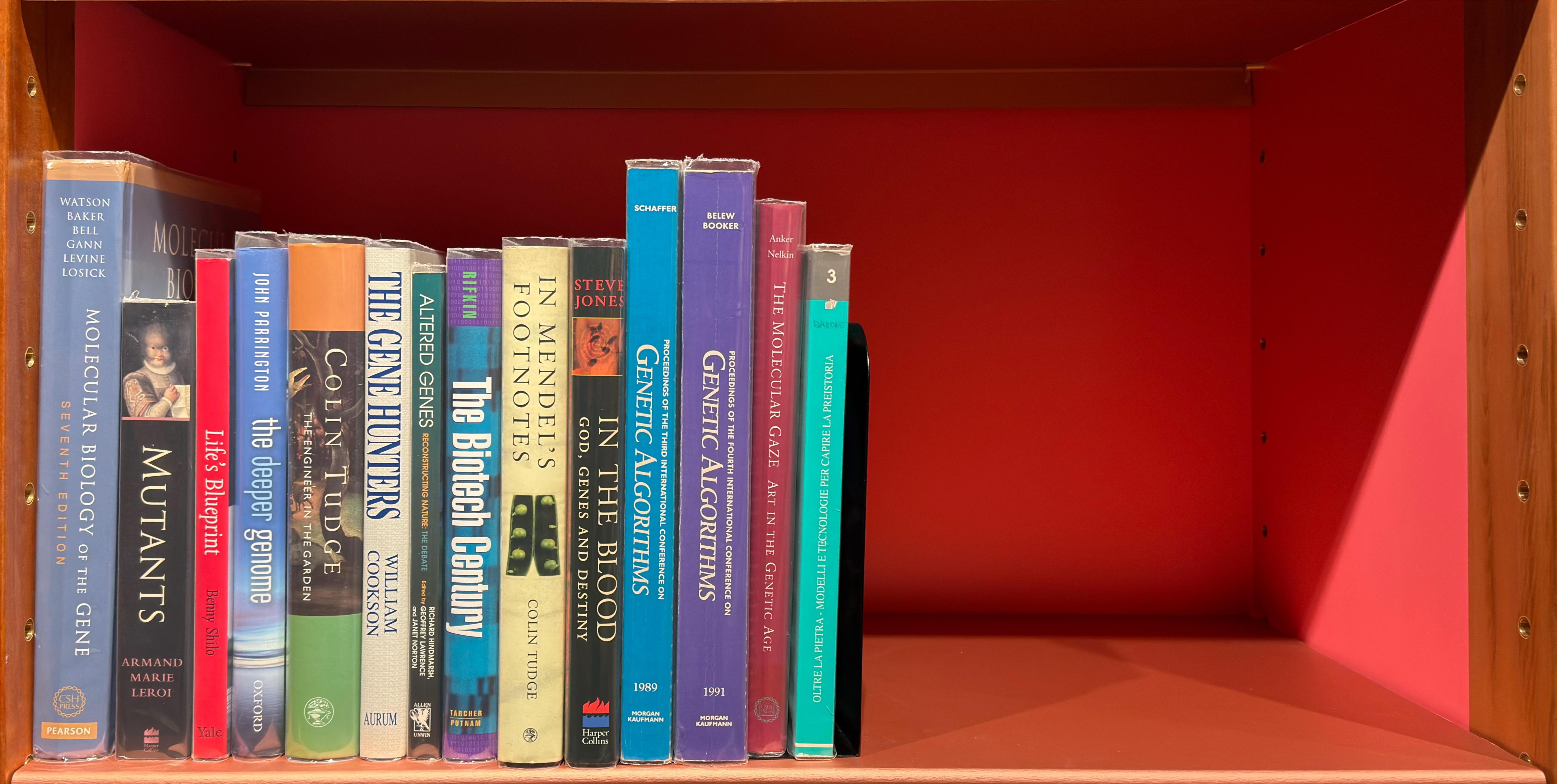 Shelf image