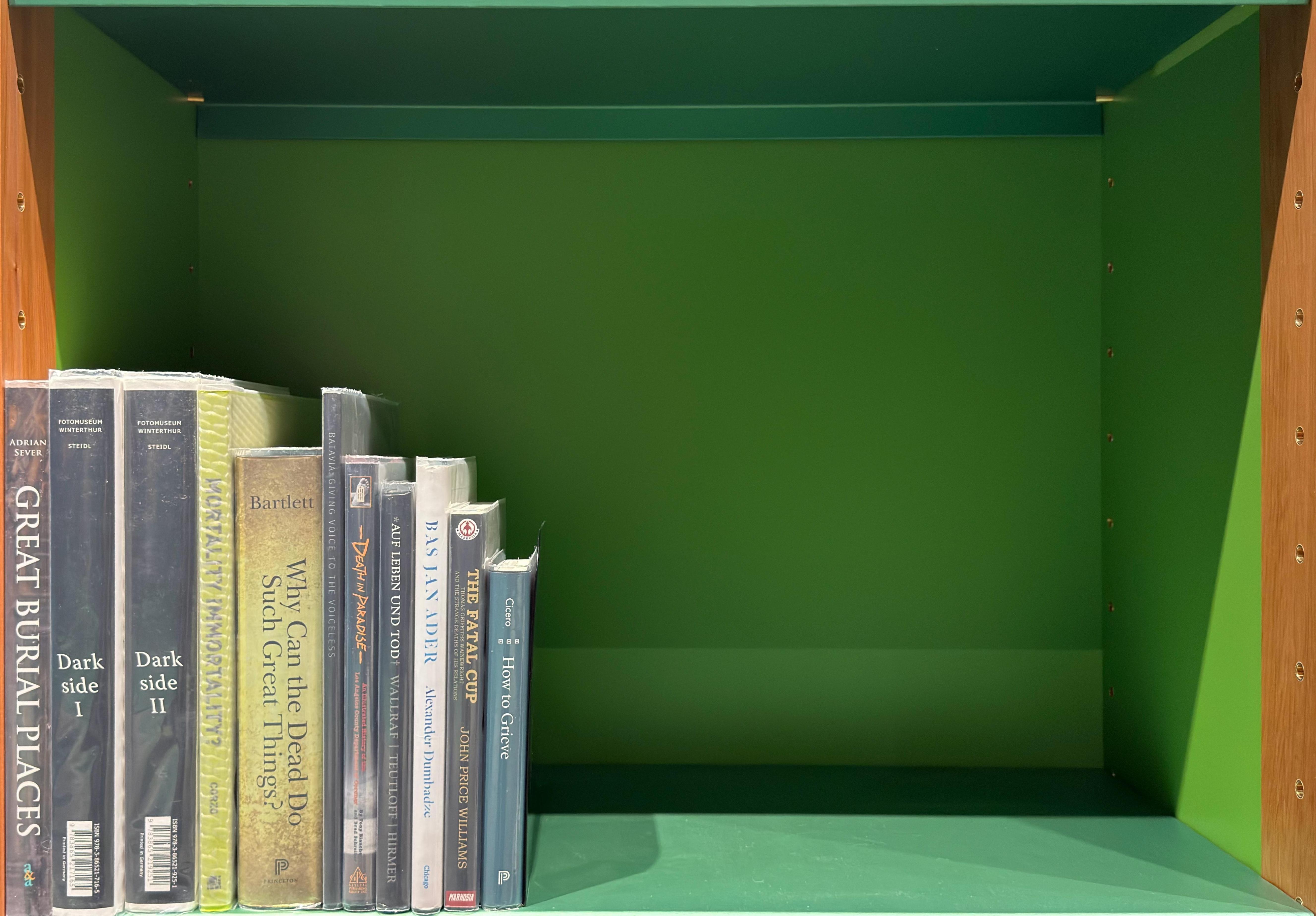 Shelf image
