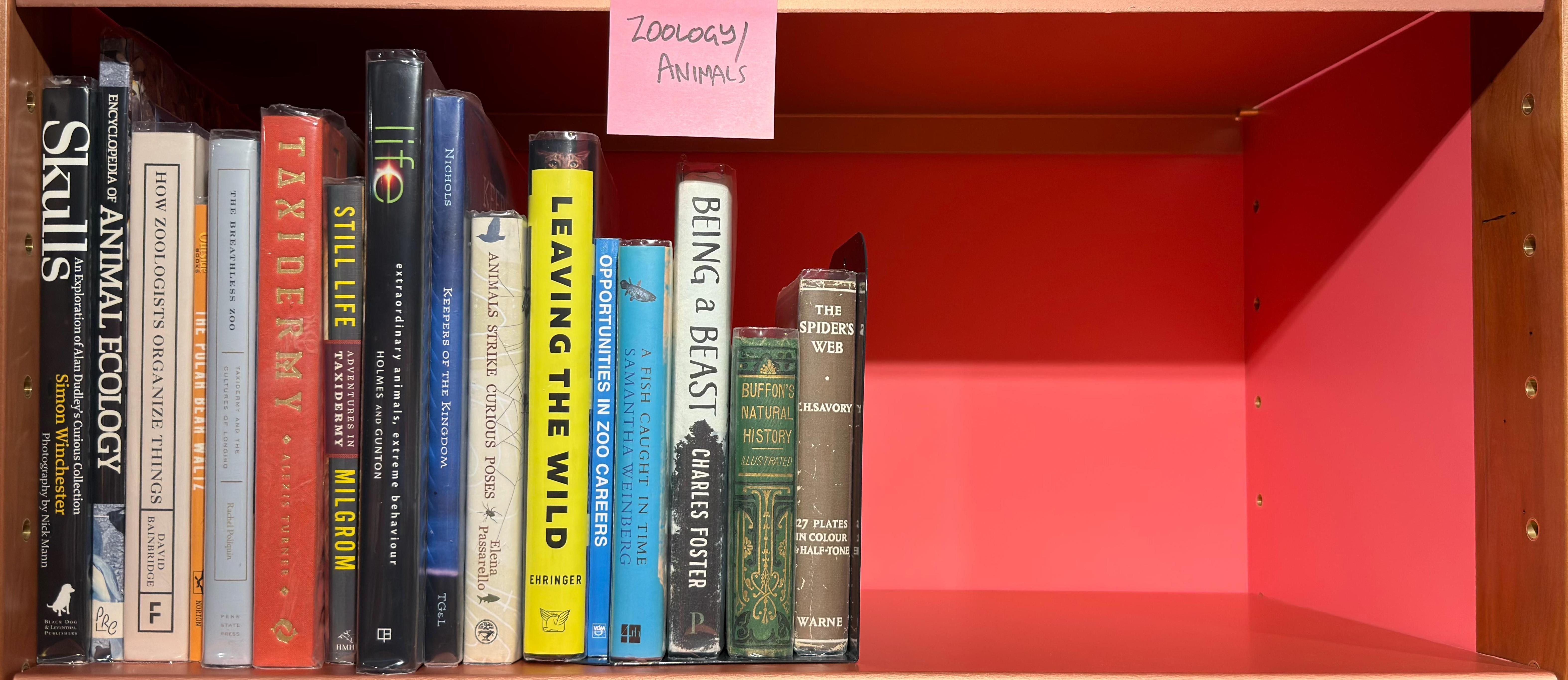 Shelf image