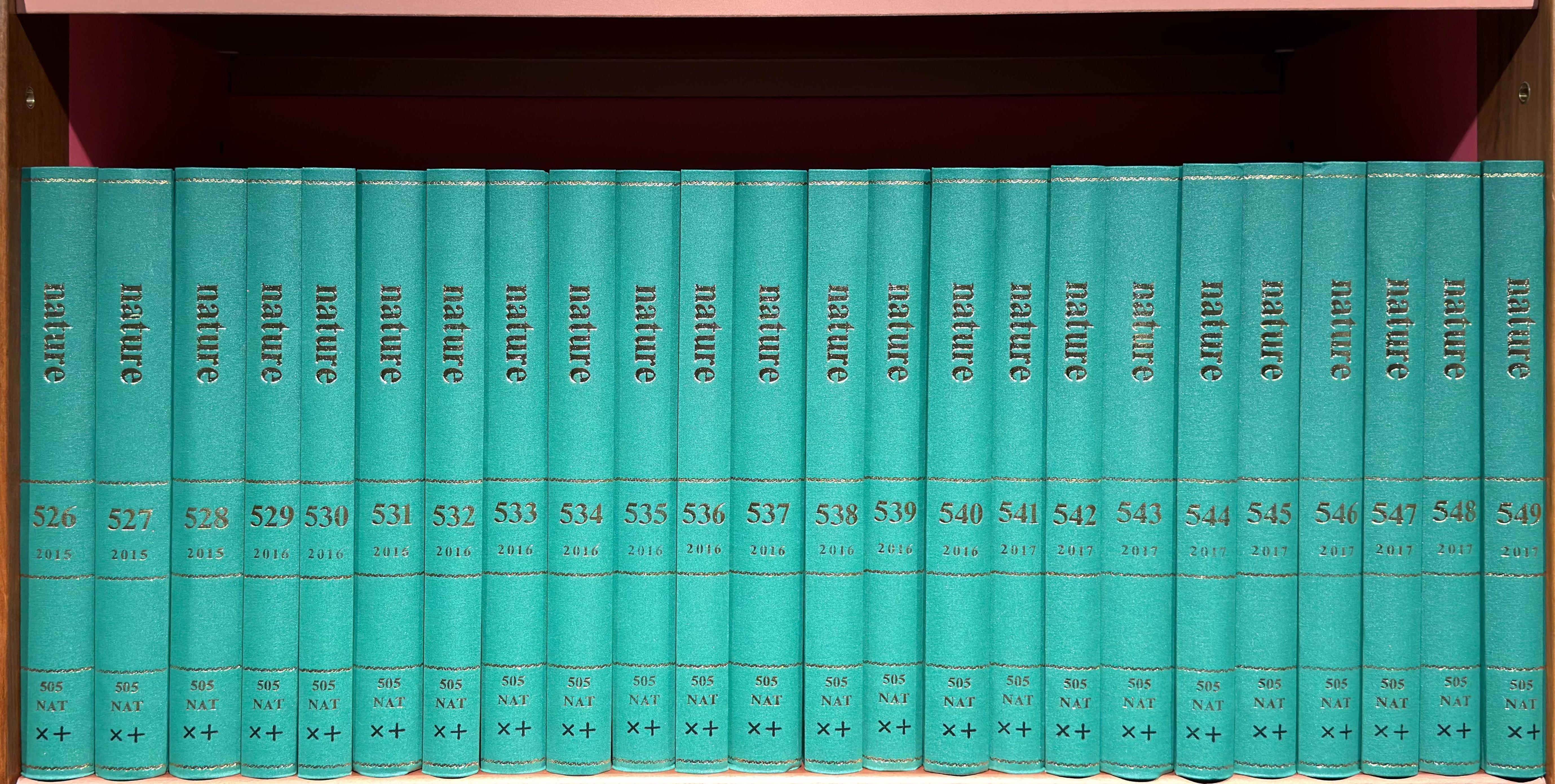 Shelf image