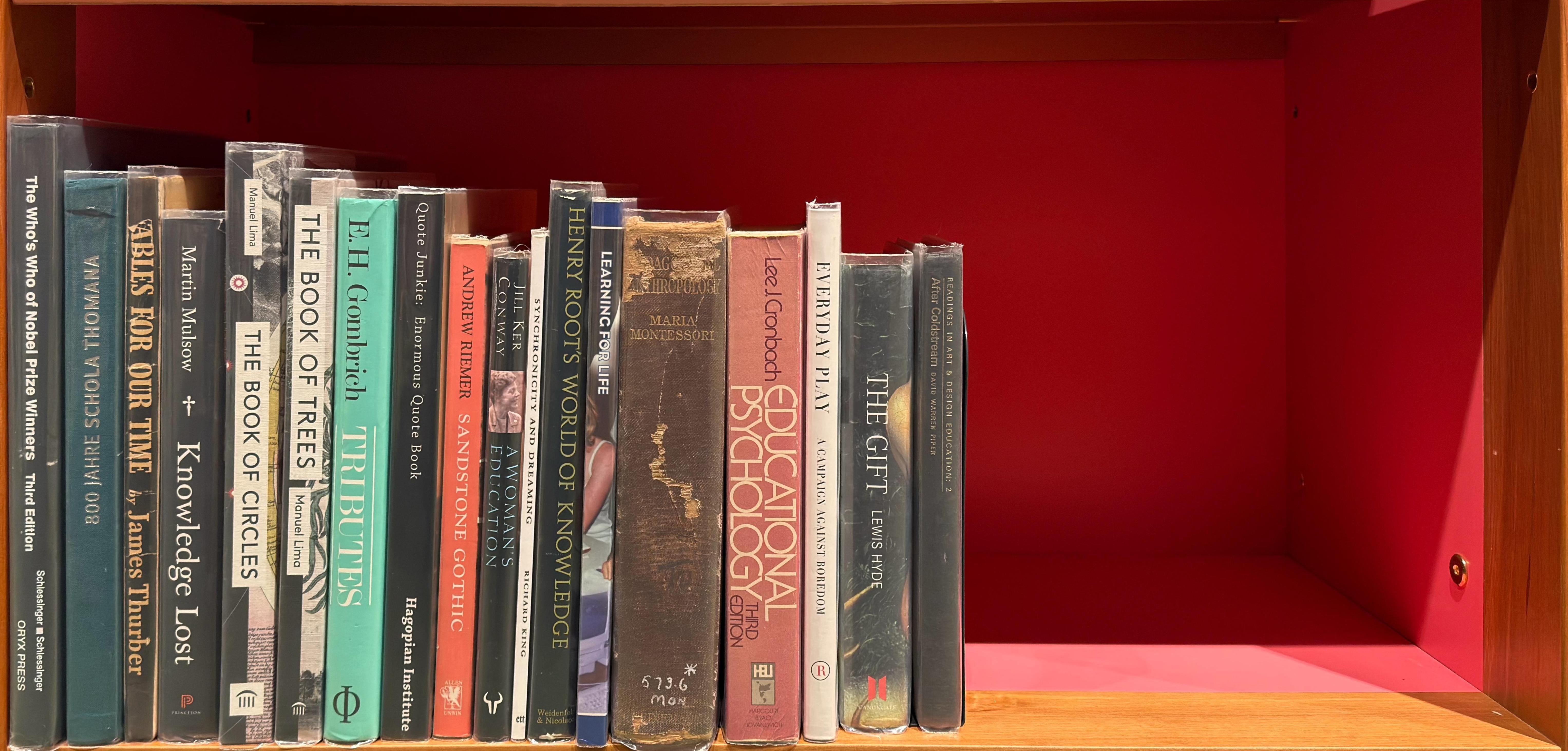 Shelf image