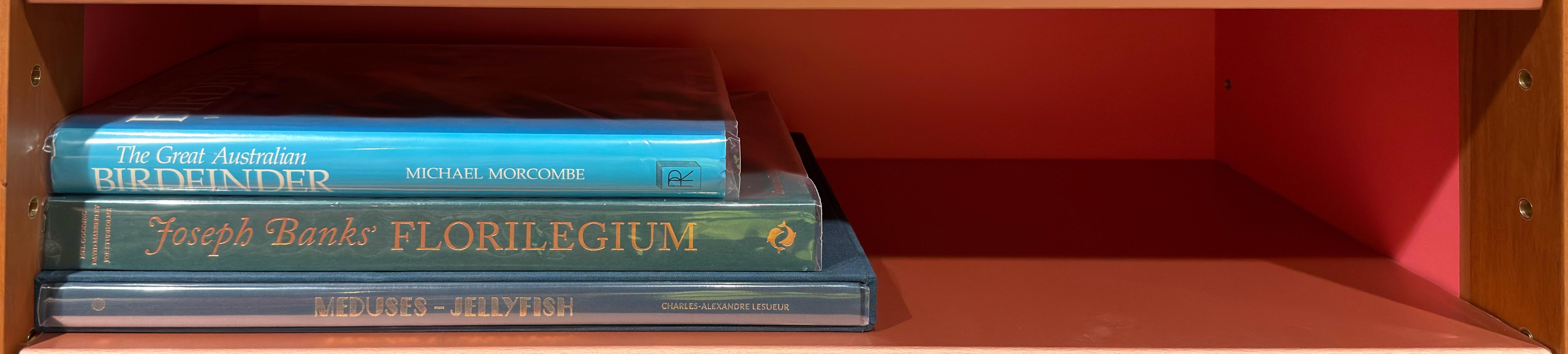 Shelf image