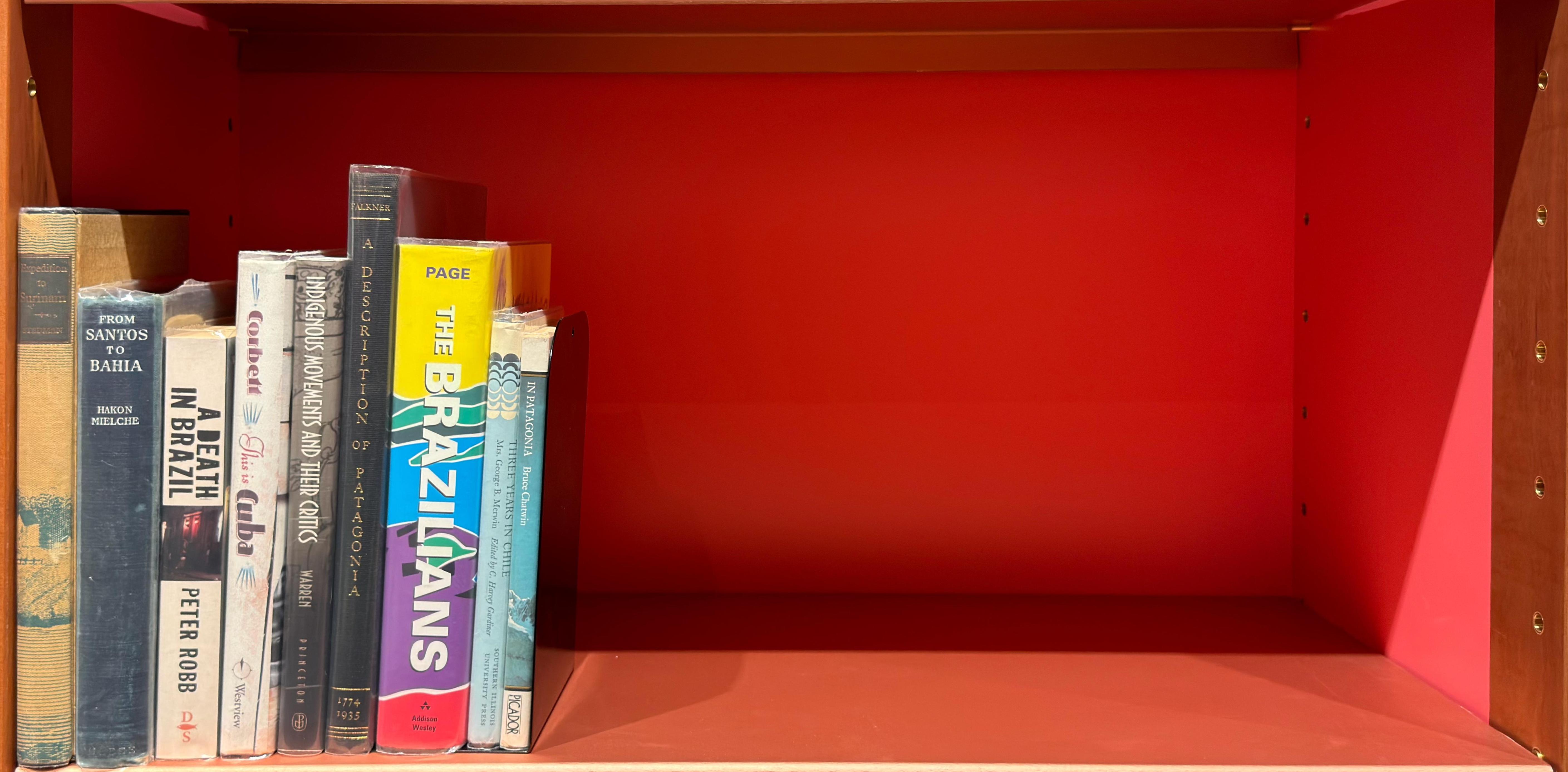 Shelf image